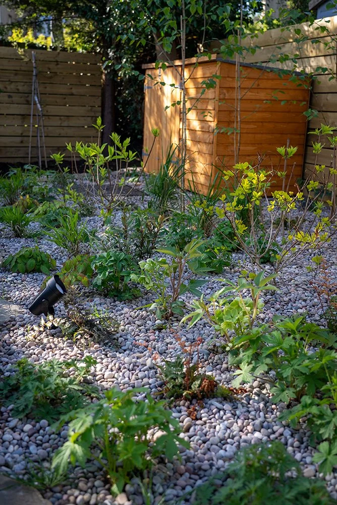 A garden bed with small plants and shrubs, covered with white pebbles, surrounding a wooden planter or shed with greenery and trees in the background.