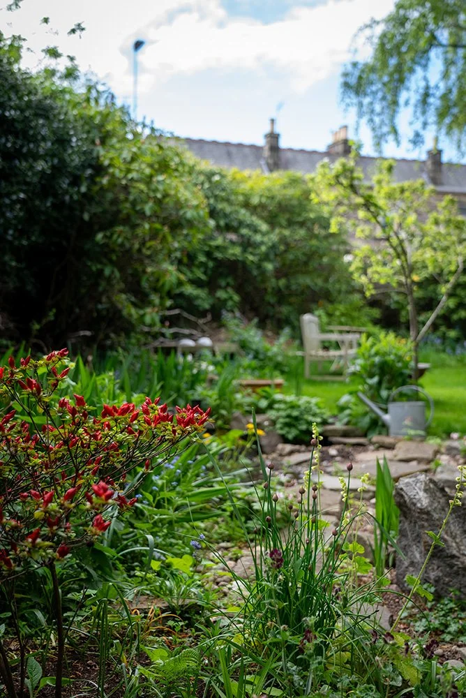 A photo of an established garden with a pond and lots of greenery.