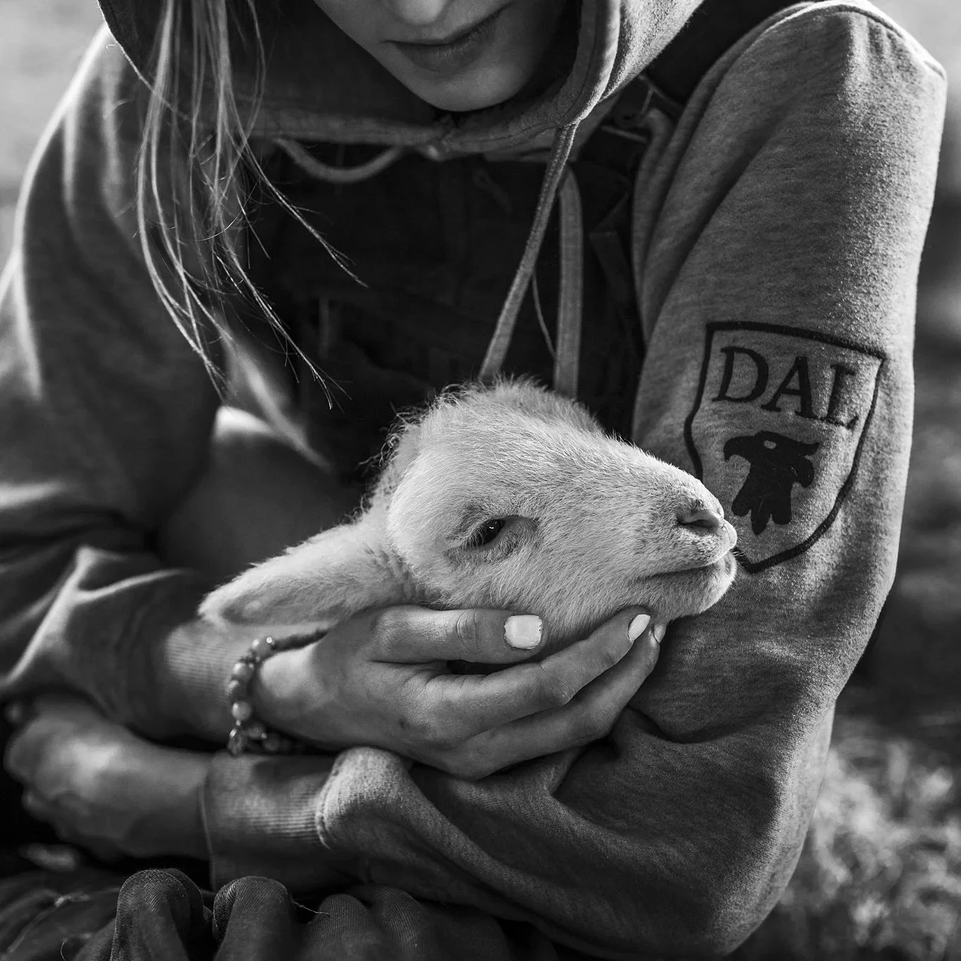 A woman holding a small goat in her hands, close-up black and white photo.