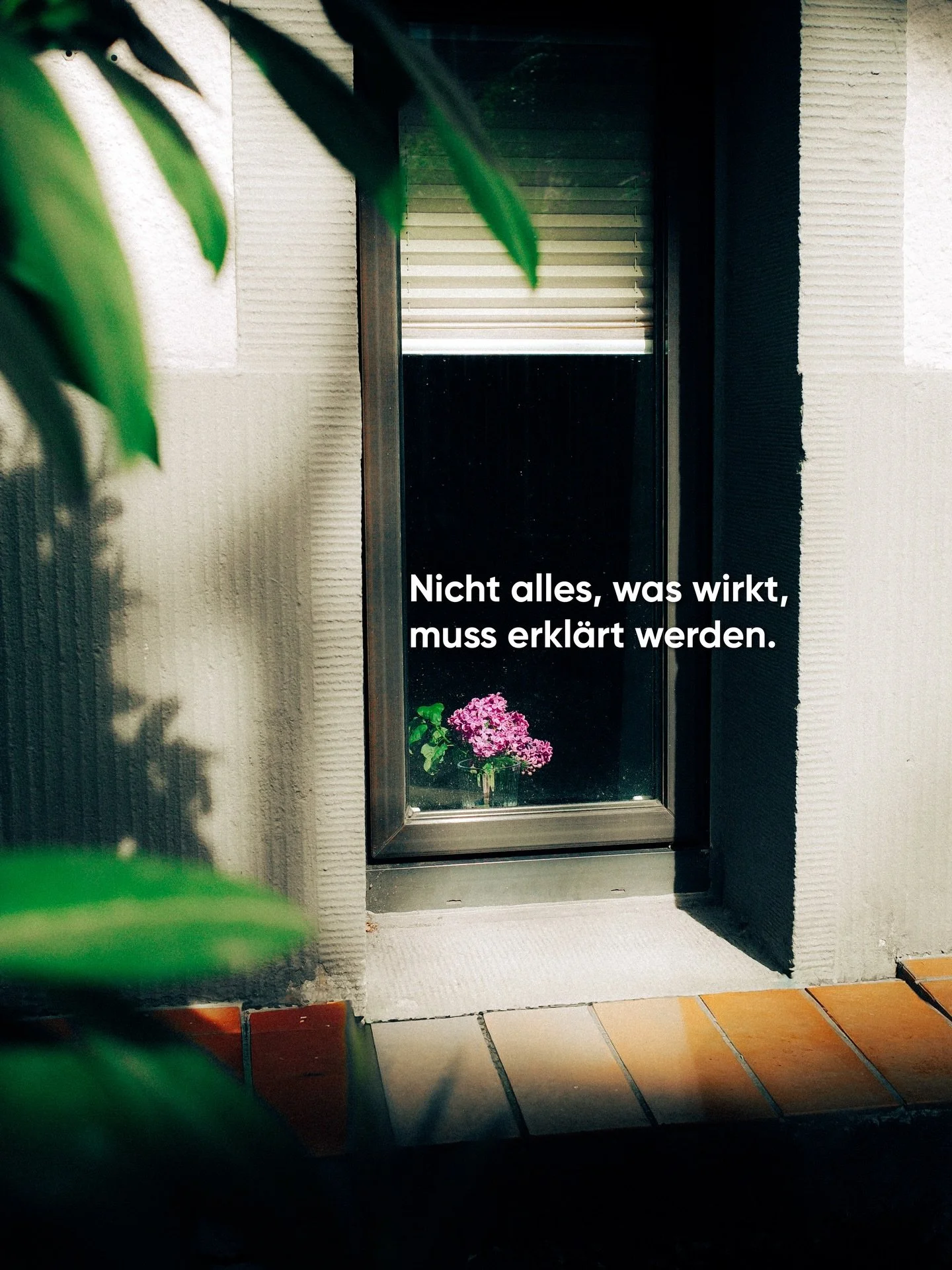 .
Nicht alles, was wirkt, braucht Worte.

Nicht mehr. 
Sondern richtiger.

Stillstand ist kein Ende. 
Nur ein anderer Anfang.

Nicht inszeniert. 
Sondern gewachsen.

D&AElig;NK.