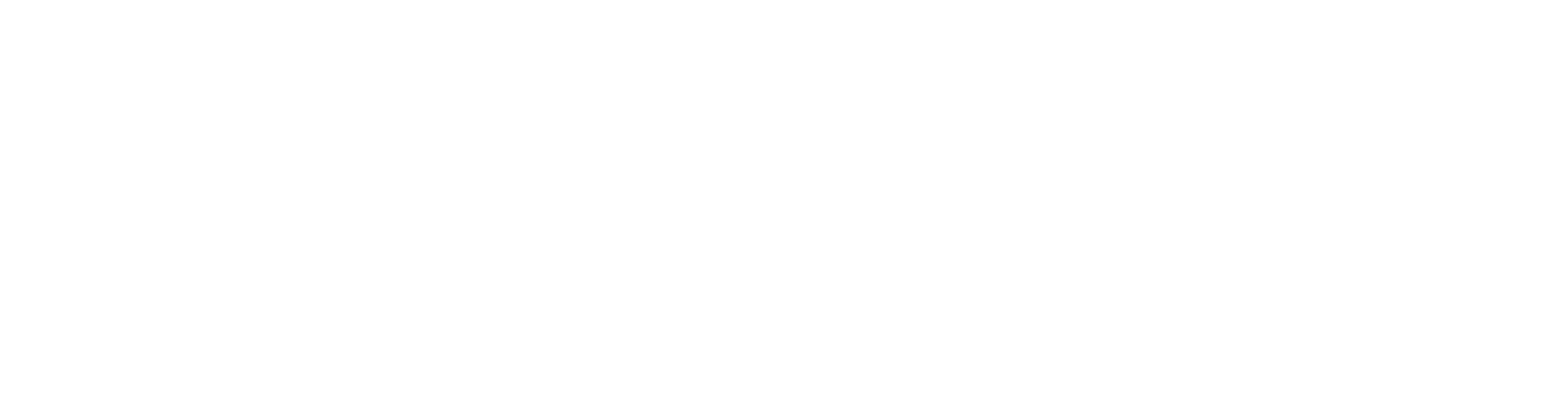 Bold, stylized text reading 'VIELETOYO' with diagonal lines through the first and last letters against a black background.