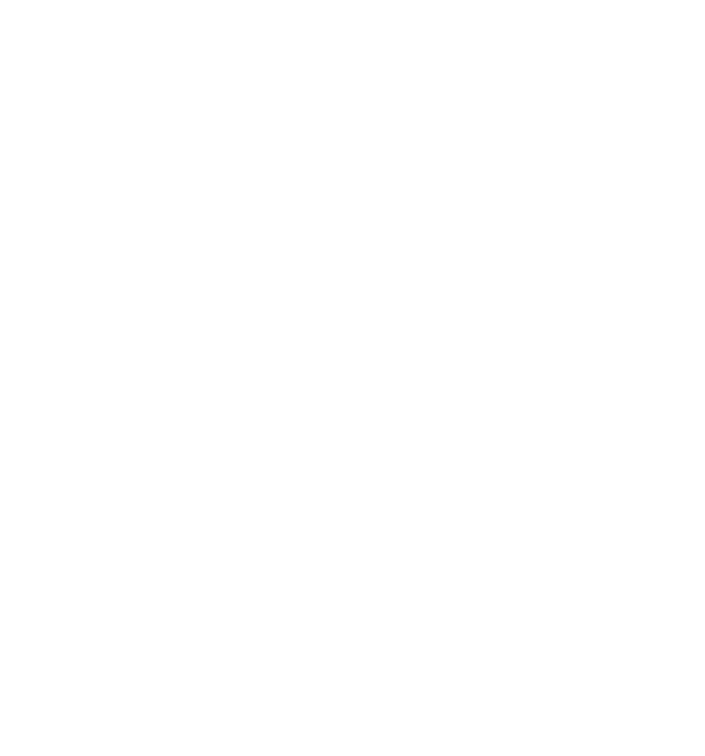 Black and white logo with the words 'E10 STELL' and a stylized racing car graphic.