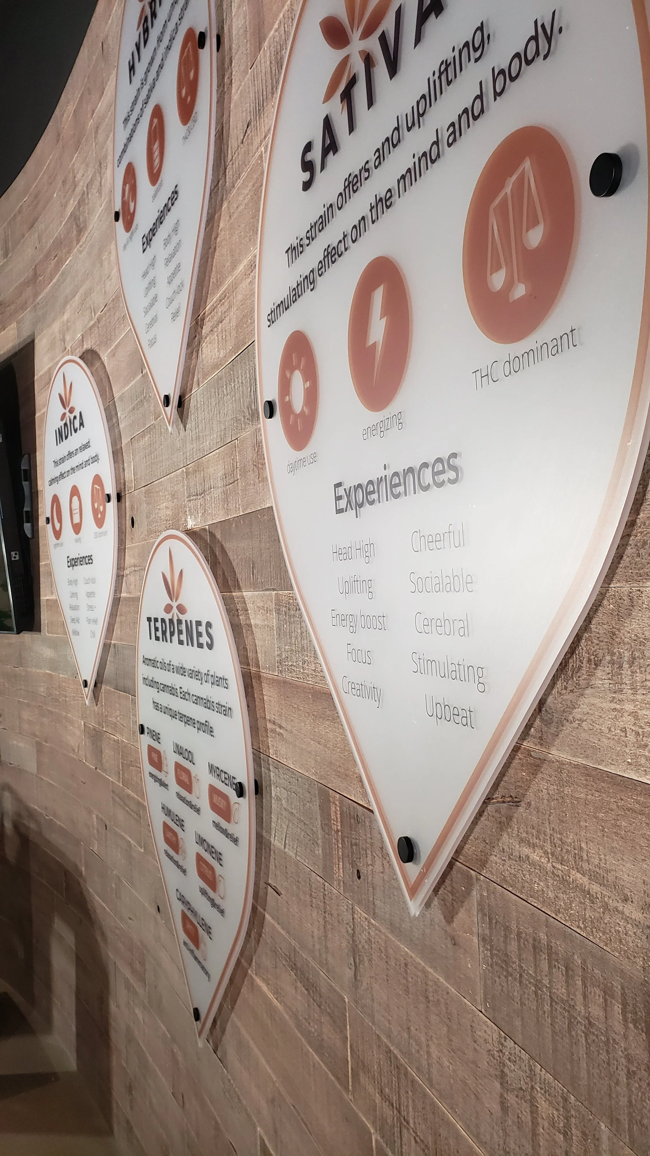 Three decorative signs on a wooden wall explaining the effects and experiences of different cannabis compounds, including Sativa, Indica, and Terpenes. The signs feature icons and brief descriptions.