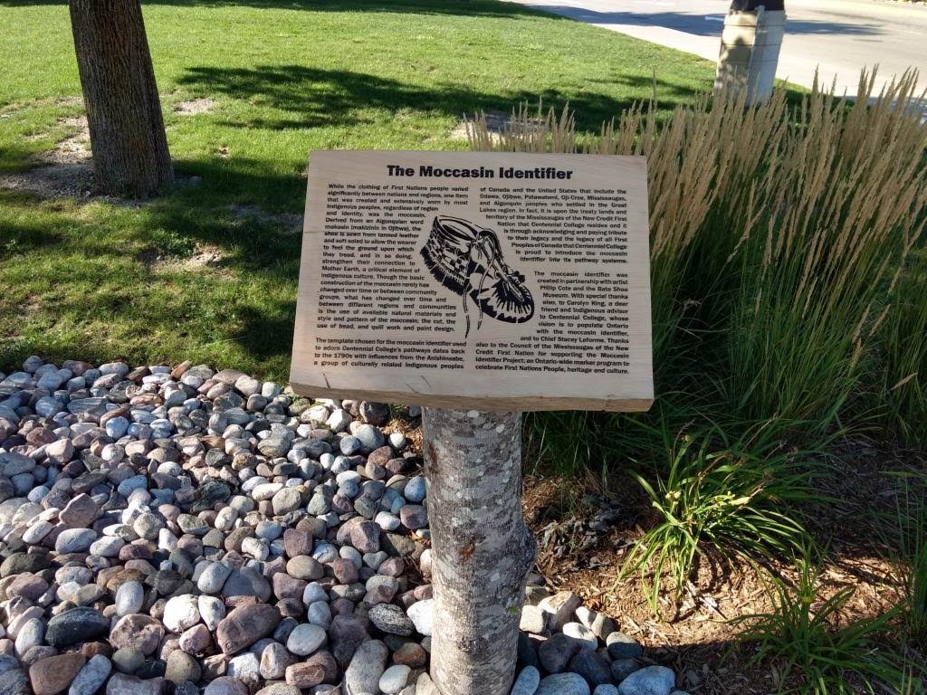 An informational sign titled "The Moccasin Identify" with a drawing of a moccasin shoe, set in a landscaped area with grass, rocks, and ornamental grass plants, near a sidewalk and a tree in a park or public space.