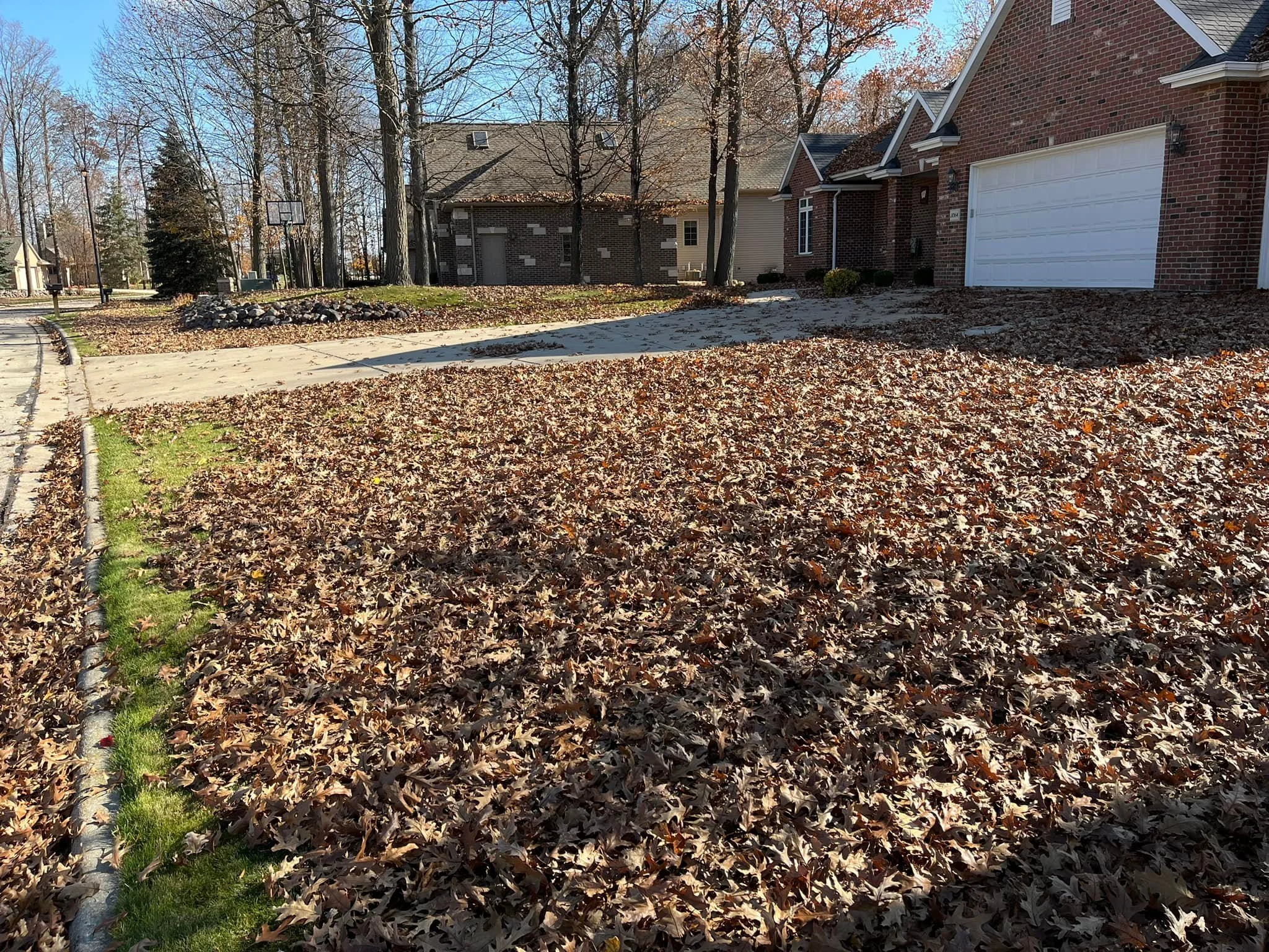 FALL/SPRING CLEAN UP