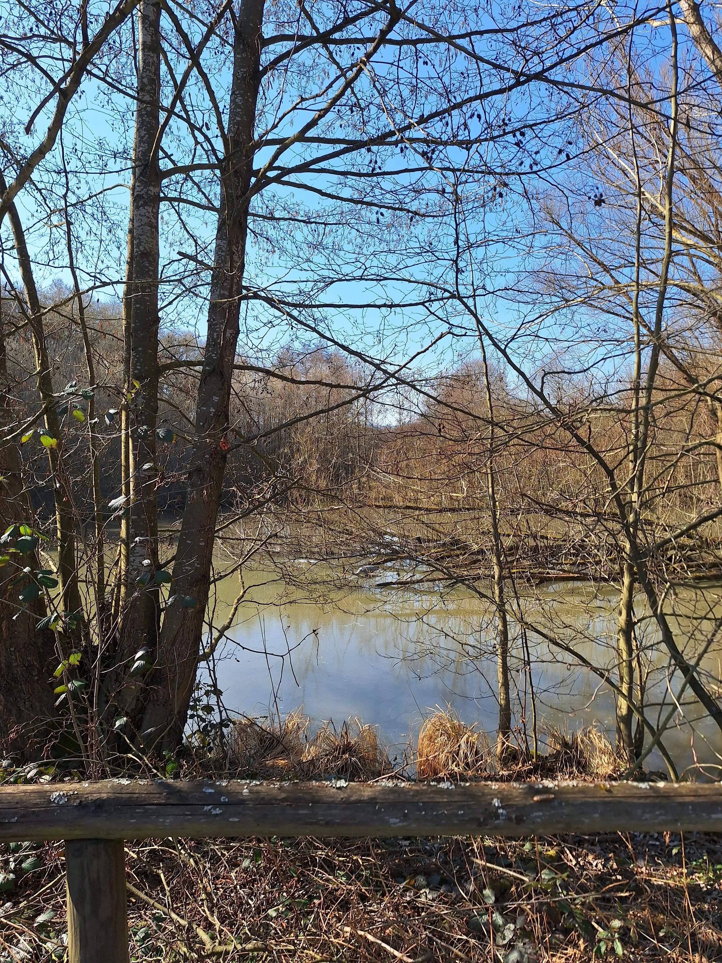 Logbuch: Ein langsamer Tag  – Gedanken aus dem Alltag von Sail4hope