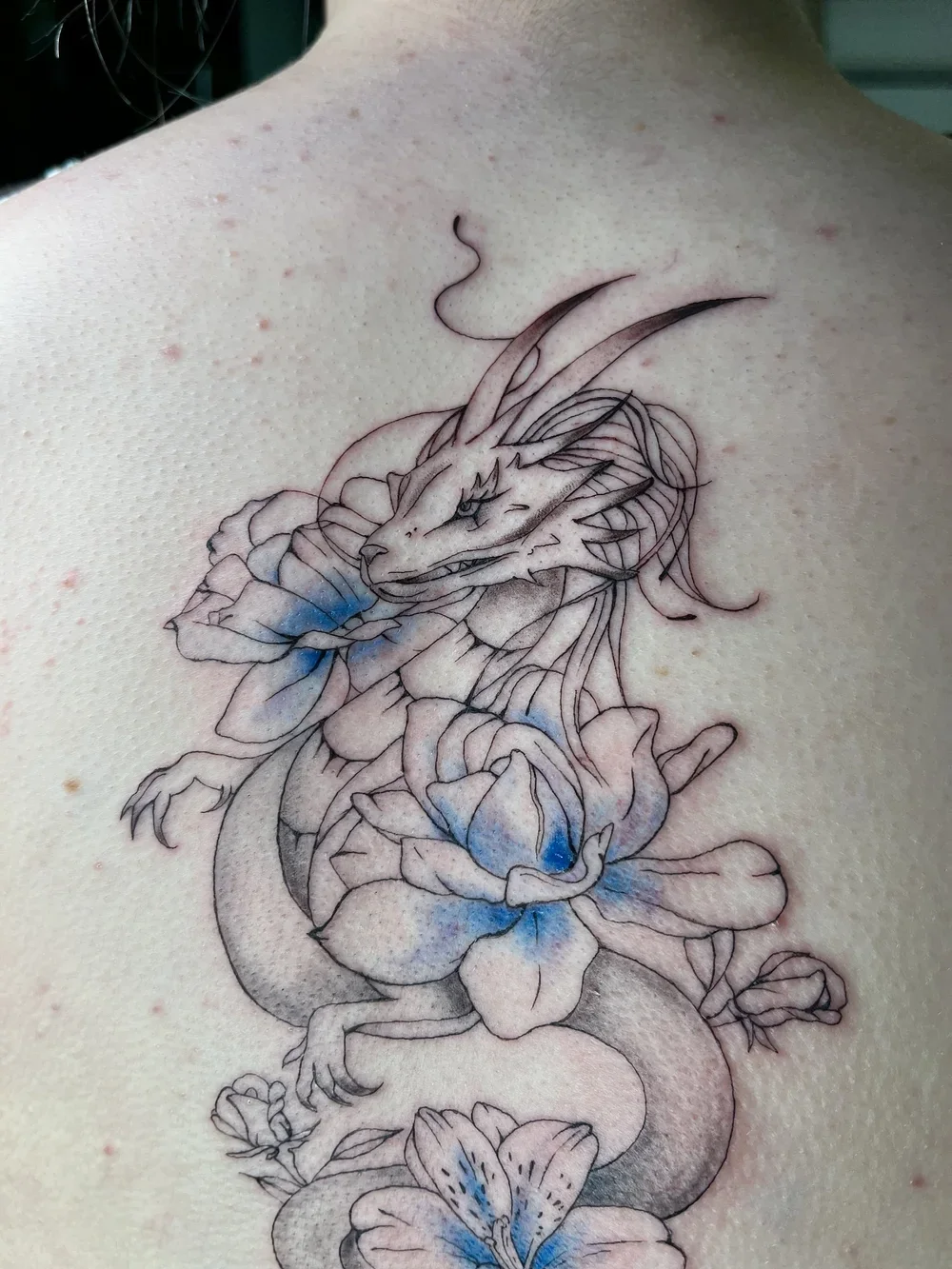 Tattoo of a dragon intertwined with flowers on a person's back, with black ink outlines and blue watercolor accents.