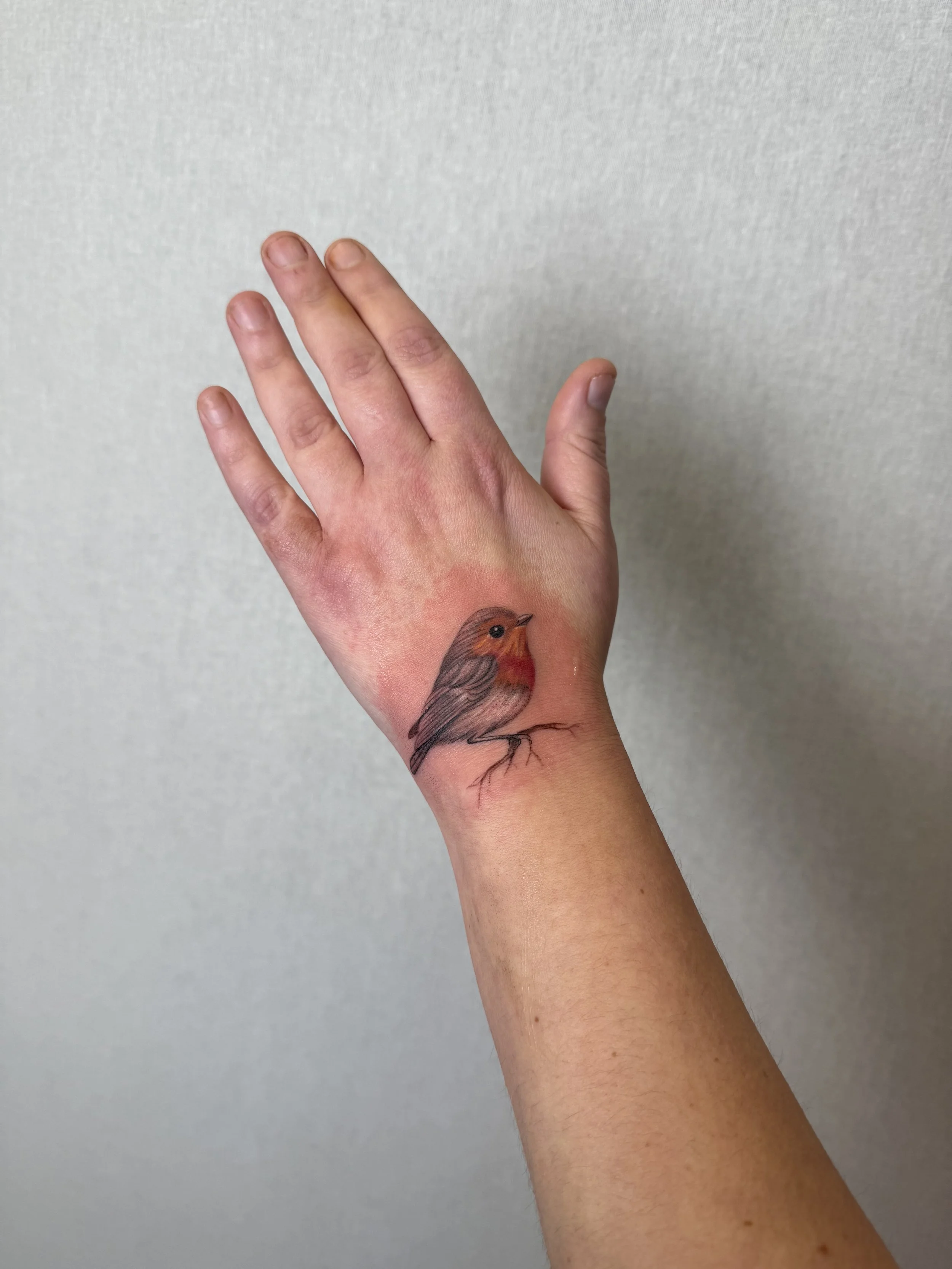 Tattoo of a small bird, resembling a robin, on a person's hand, with a light-colored background.