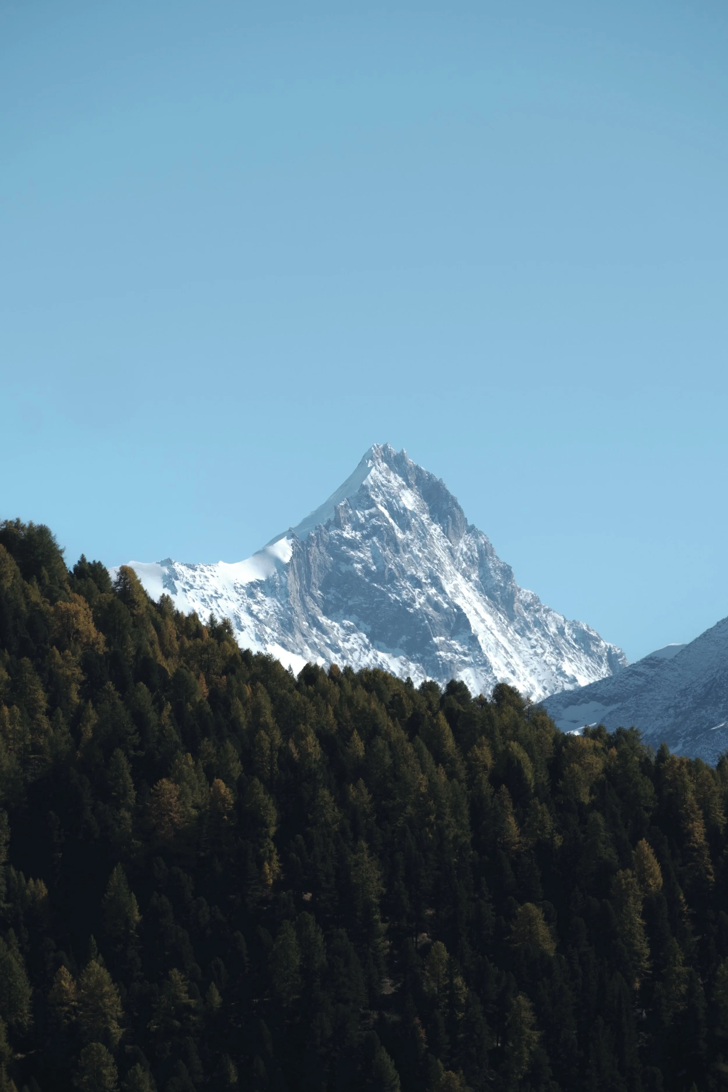 Weisshorn Above the Forest
