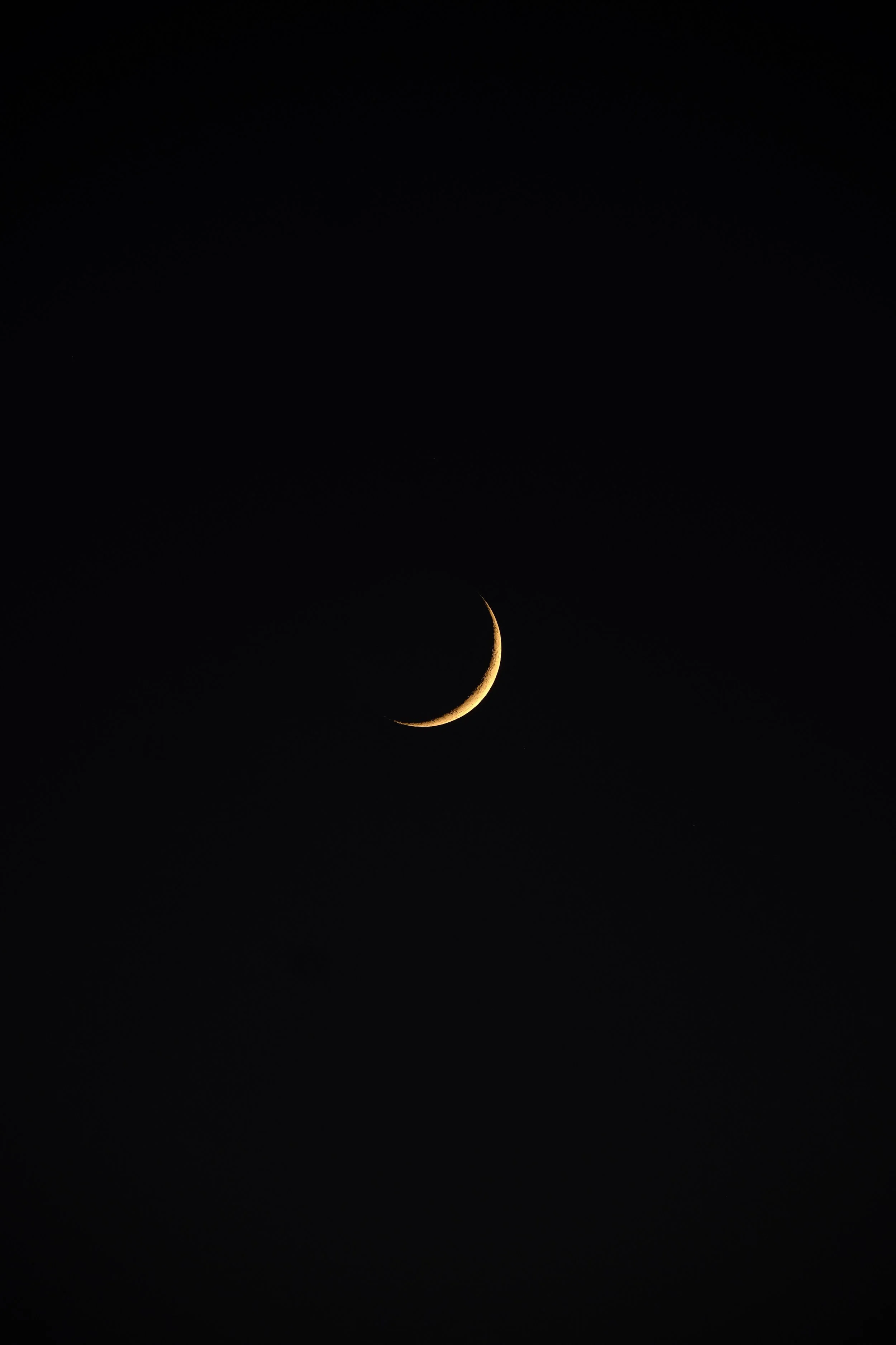 Crescent Night