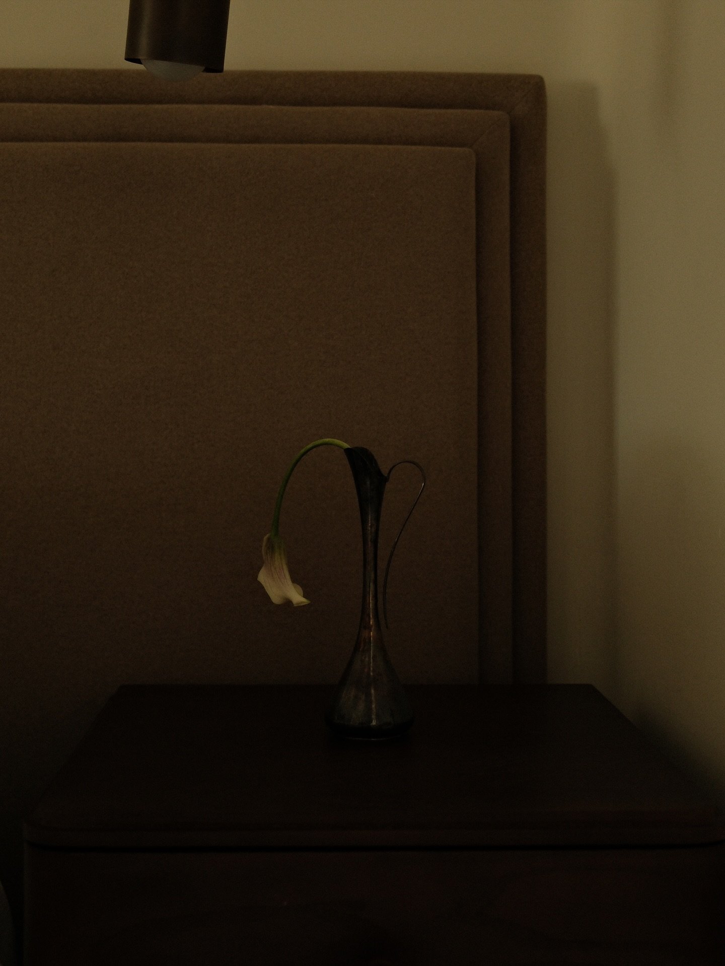 Maarte For Spaces By Jac Flash