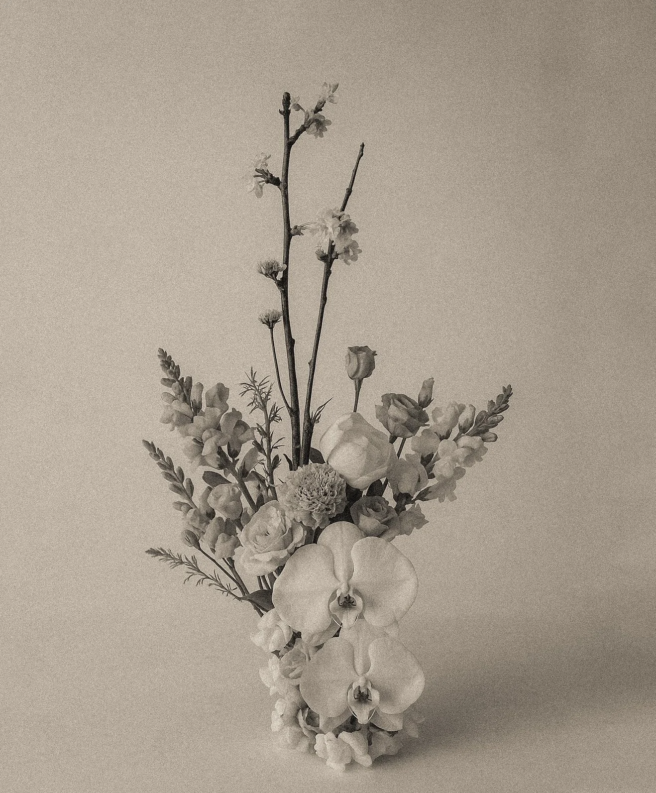 Maarte Arrangement For Sophie Brussaux