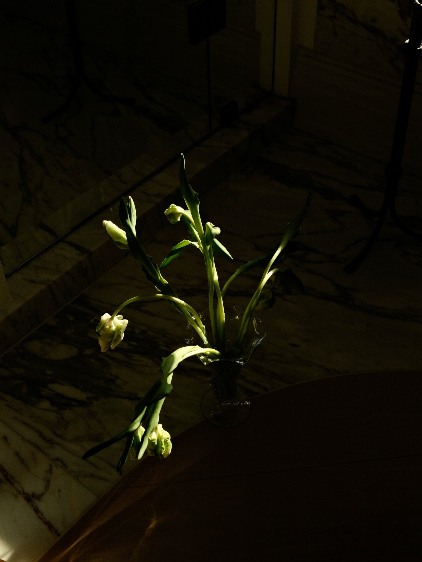 Maarte For Spaces By Jac Flash