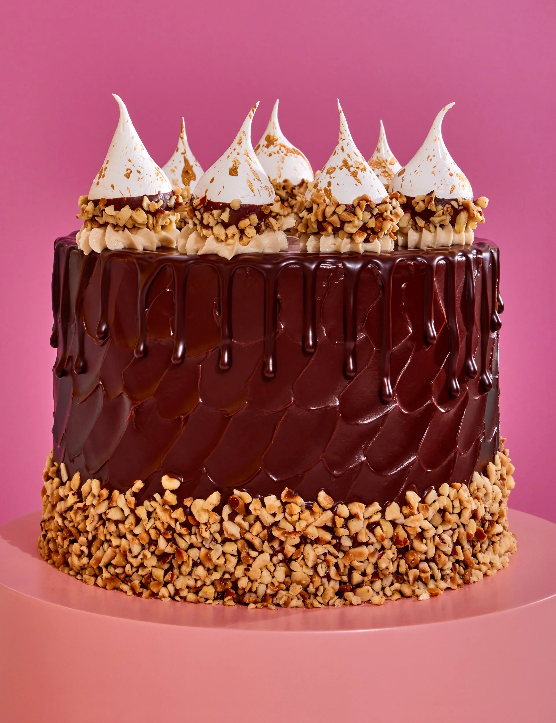 Chocolate cake photography for cookbook publishing