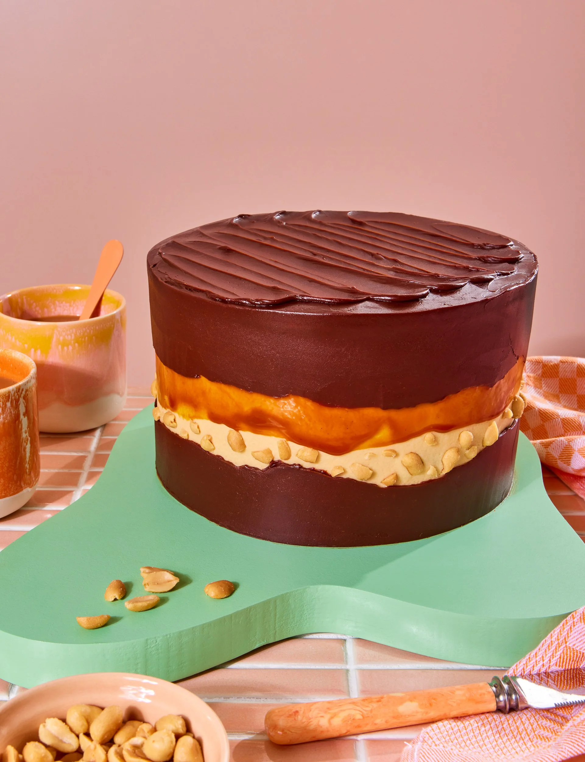 Chocolate cake photography for cookbook publishing