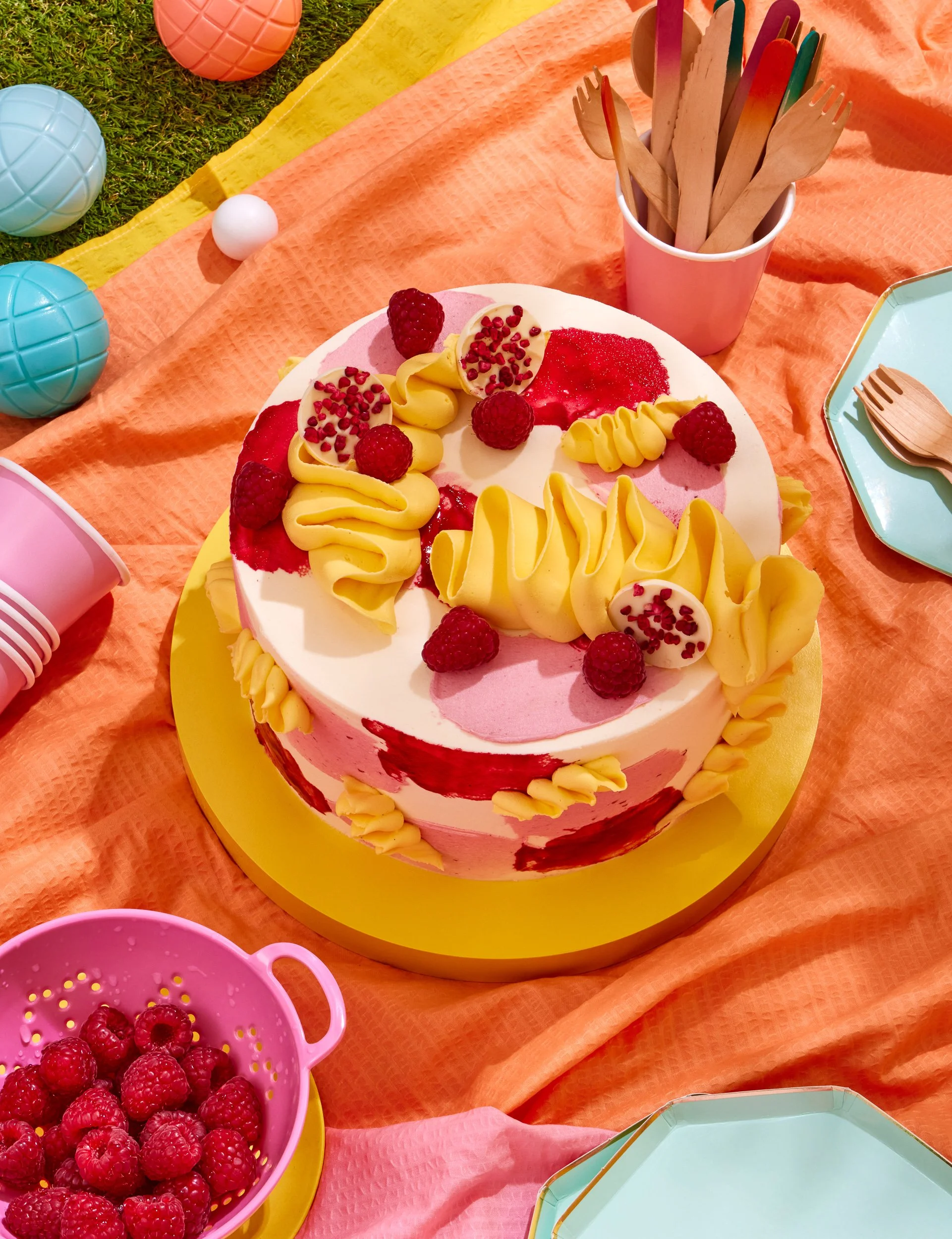 Cake picnic photography for cookbook publishing