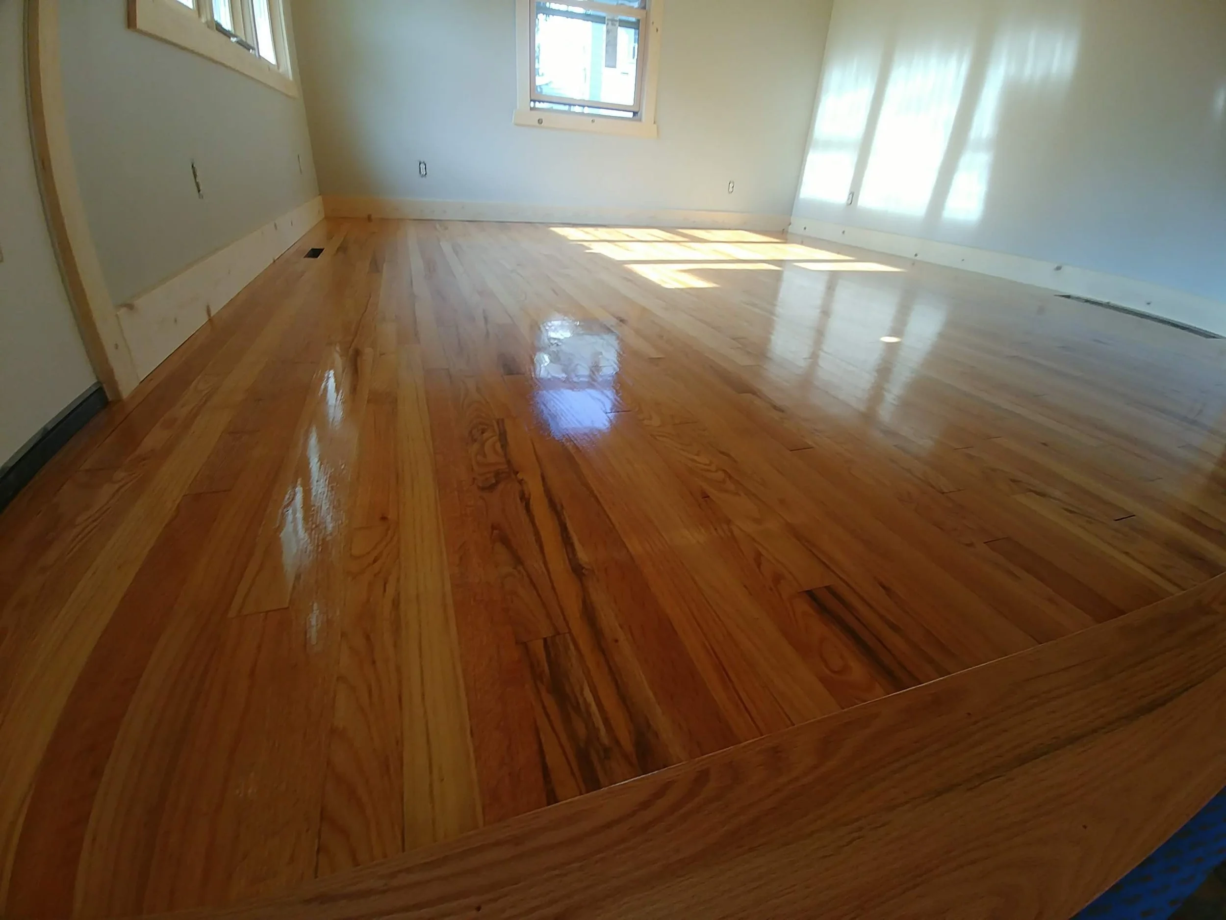 A room with newly installed hardwood flooring, walls painted in a light color, and windows letting in natural light.