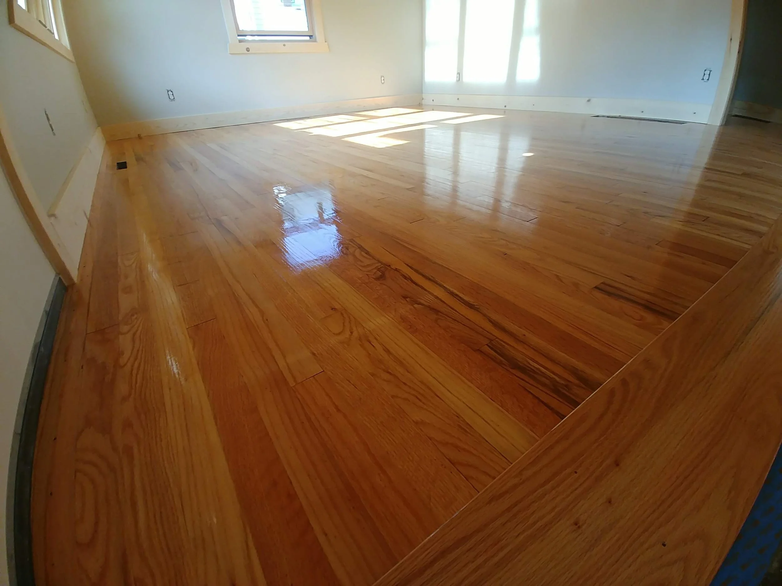 Empty room with wooden flooring and large windows letting in sunlight.