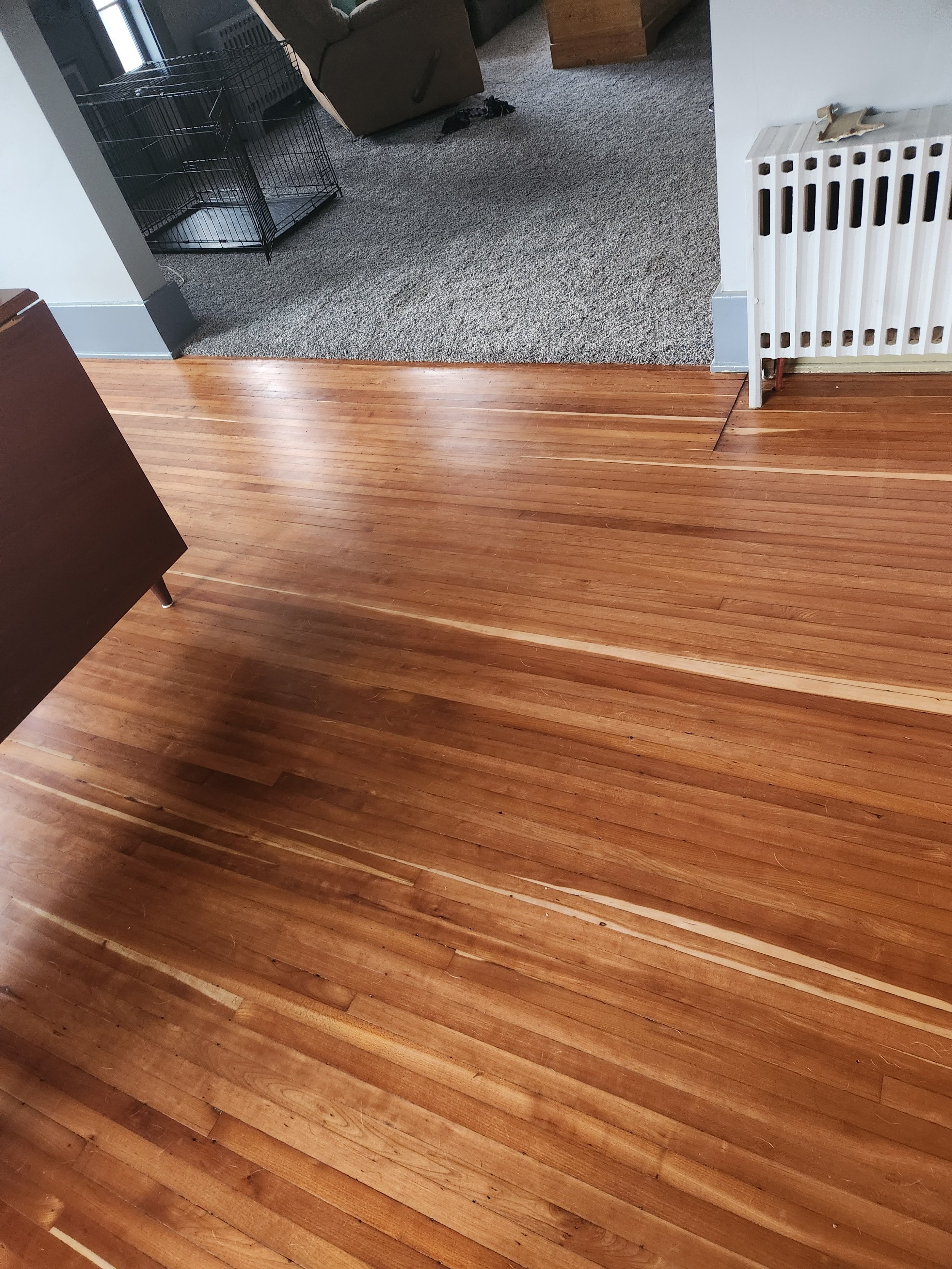 Living room with hardwood floors, a brown sofa, a gray carpeted area with a dog crate, and a white radiator.