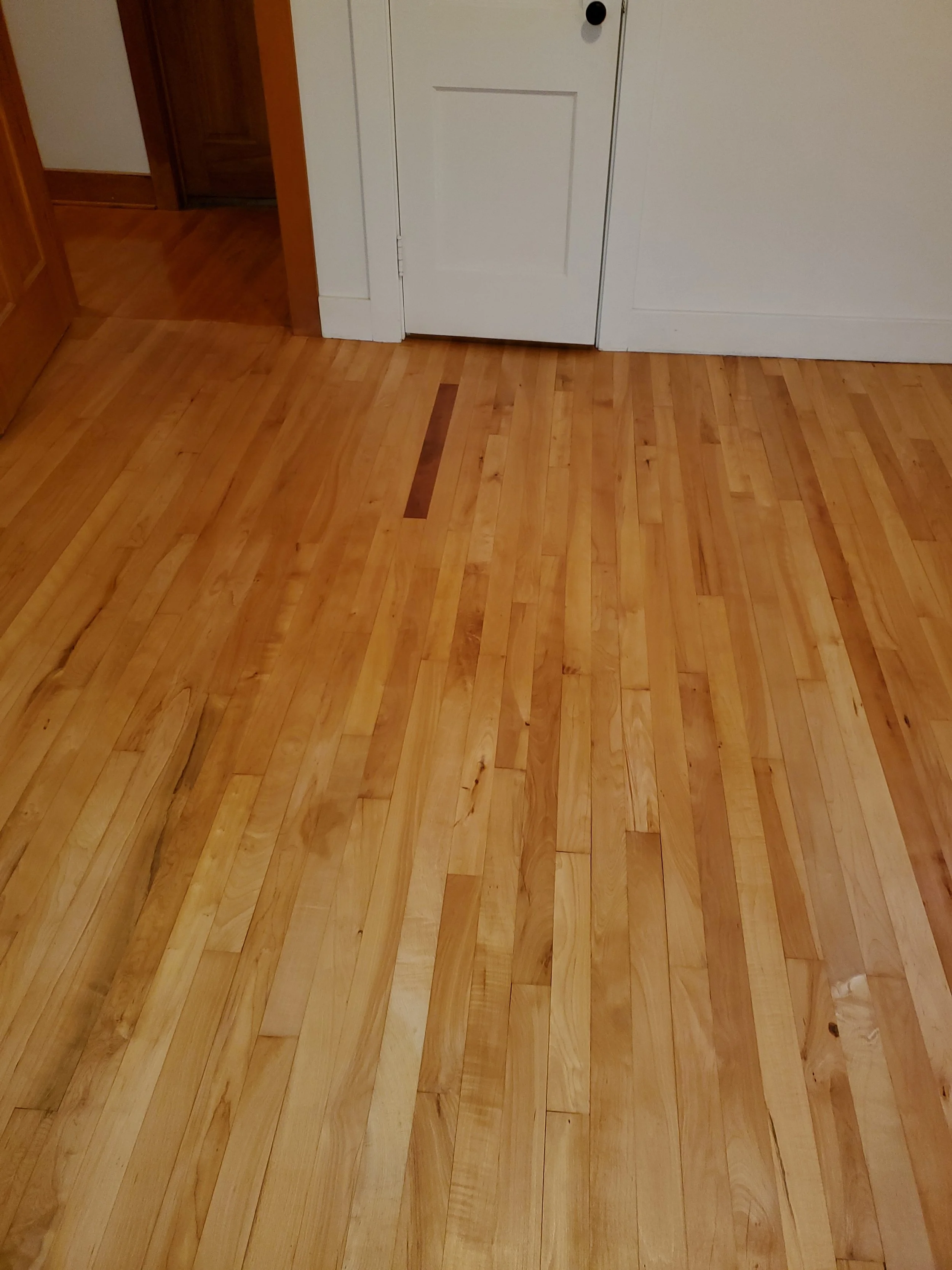 Wooden floor with a narrow strip of darker wood near a closed white door.