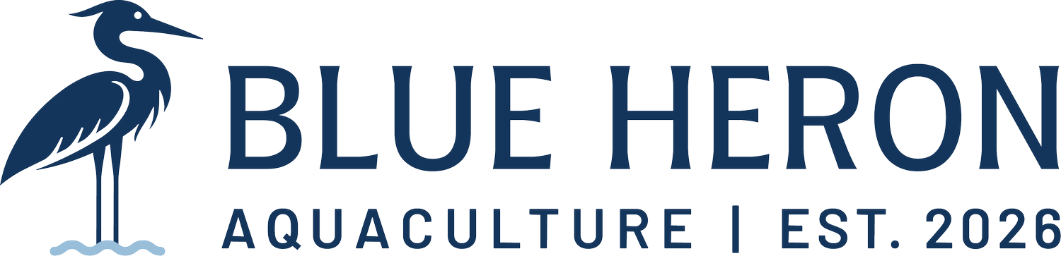 Blue Heron Aquaculture | Fresh Local Shrimp from NH