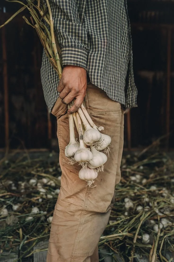 LOEWE.GARLIC.014.jpg