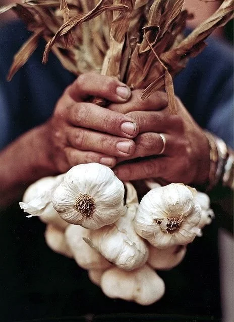 LOEWE.GARLIC.013.jpg