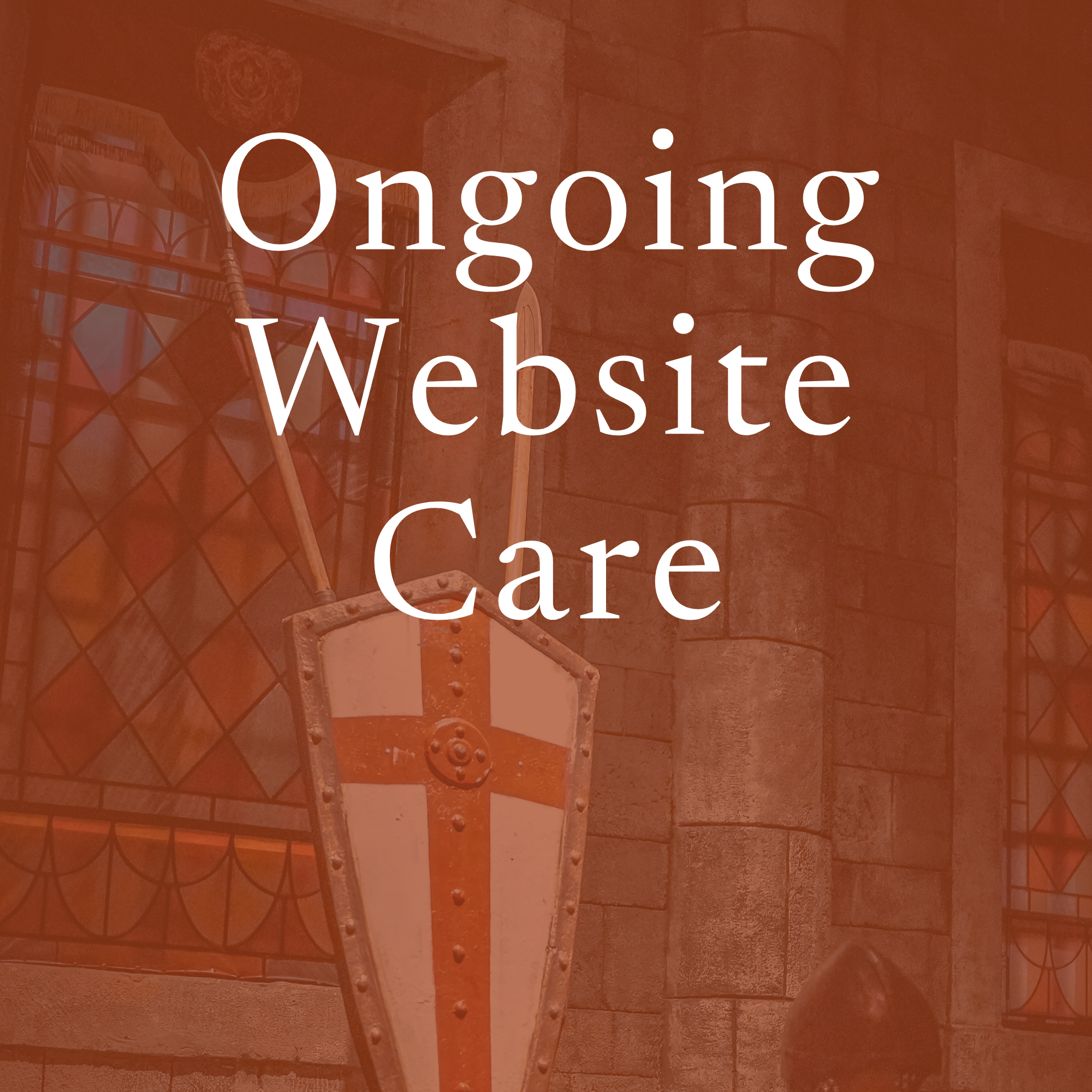Ongoing Website Care