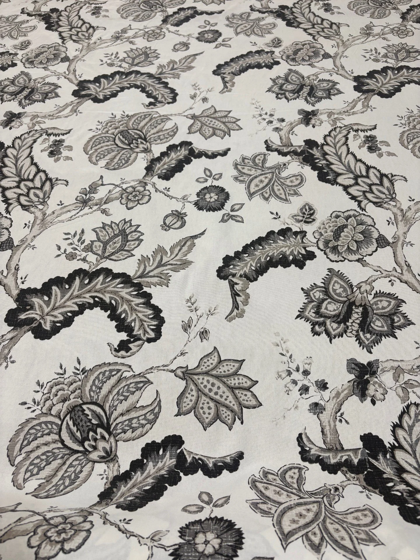 Hothouse Flowers in Silhouette