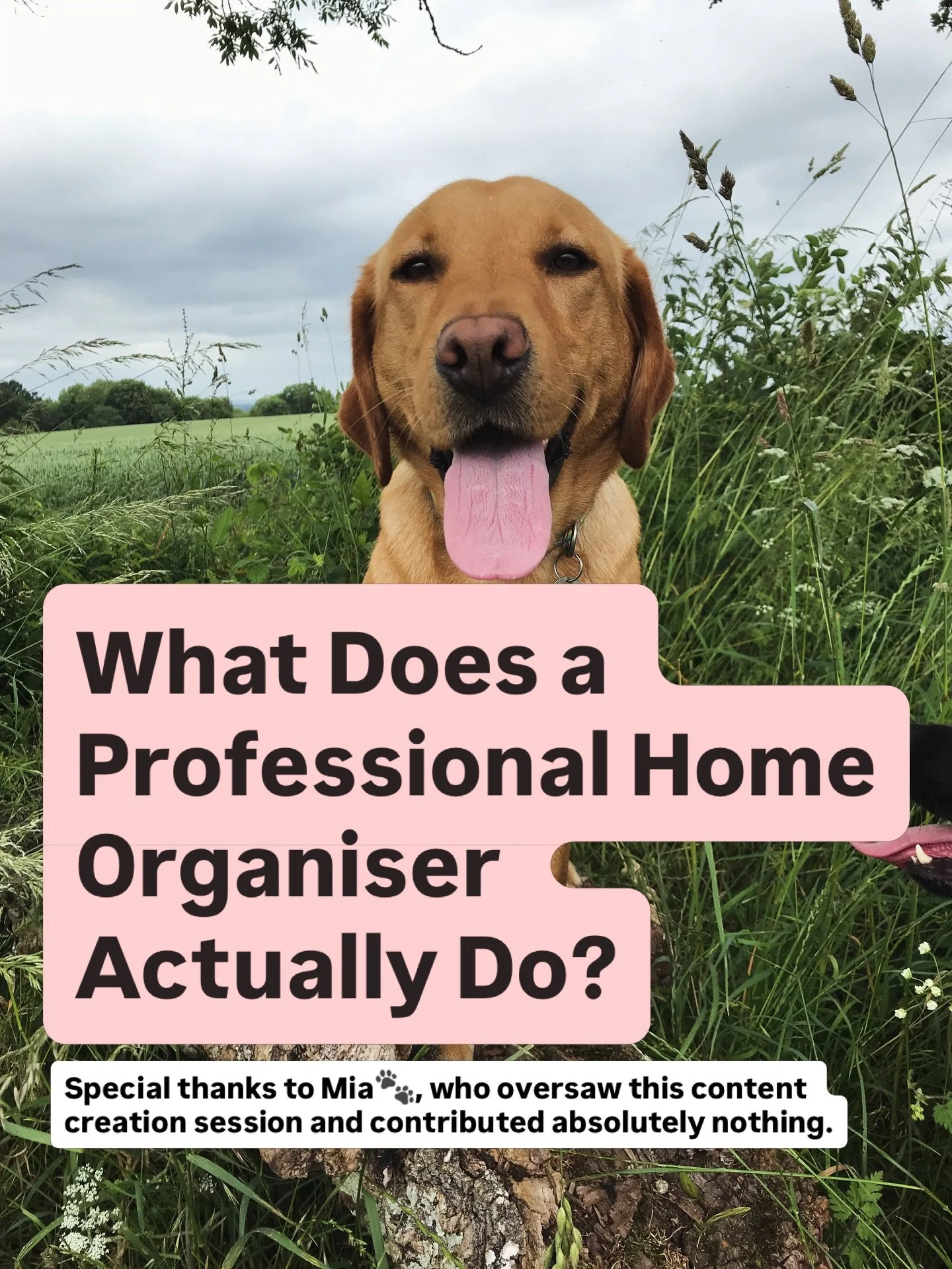 Most homes don&rsquo;t actually have a clutter problem.

They have a systems problem.

Life gets busy. Families grow. Routines change.

And suddenly cupboards are overflowing, mornings feel rushed and certain spaces start to feel overwhelming.

A Pro