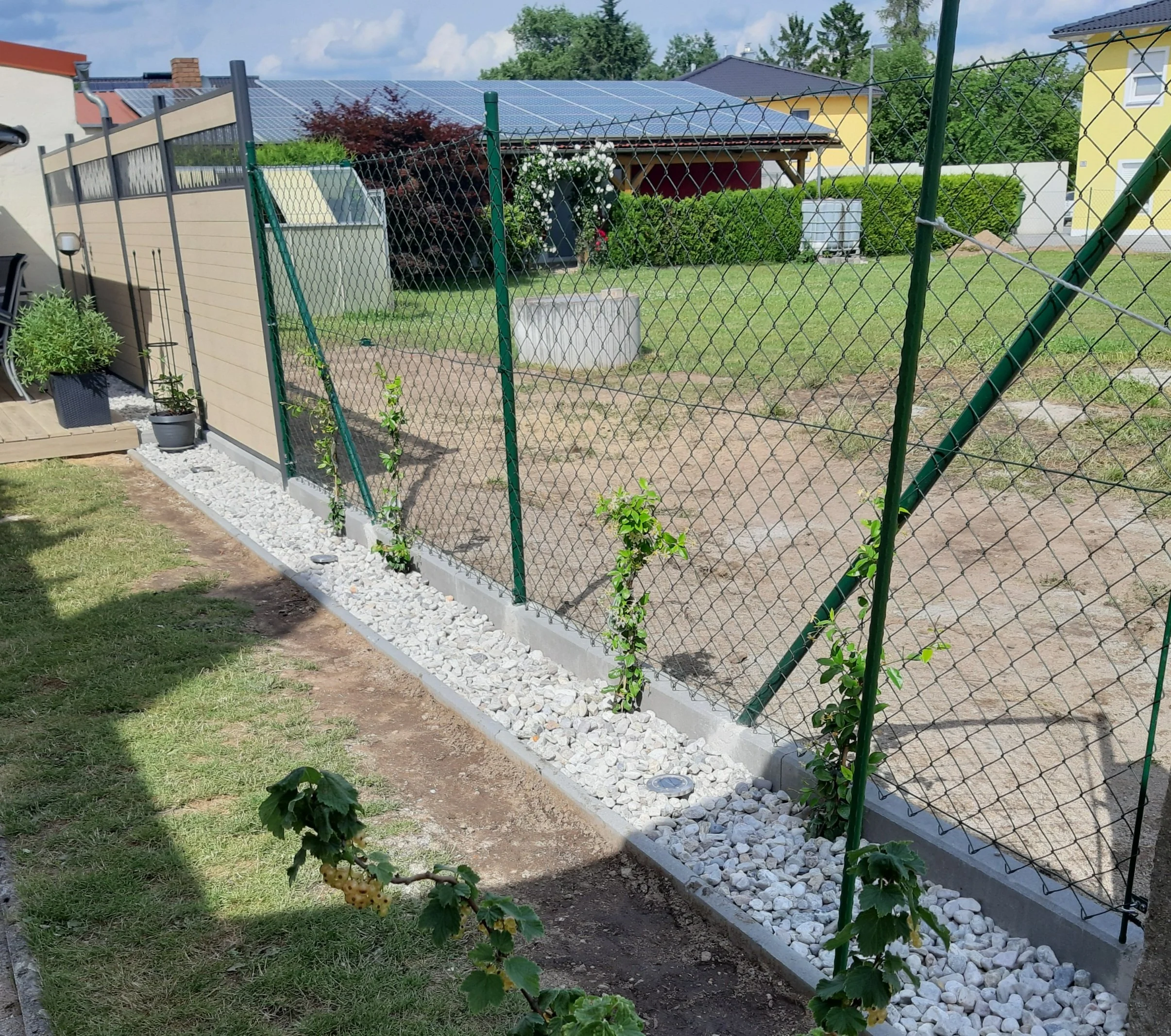 Ein Garten mit einem Metallzaun, auf dem kleine Pflanzen wachsen, und einem Pflasterstreifen aus weißen Kieselsteinen. Im Hintergrund sind Häuser und Solarzellen auf den Dächern zu sehen.