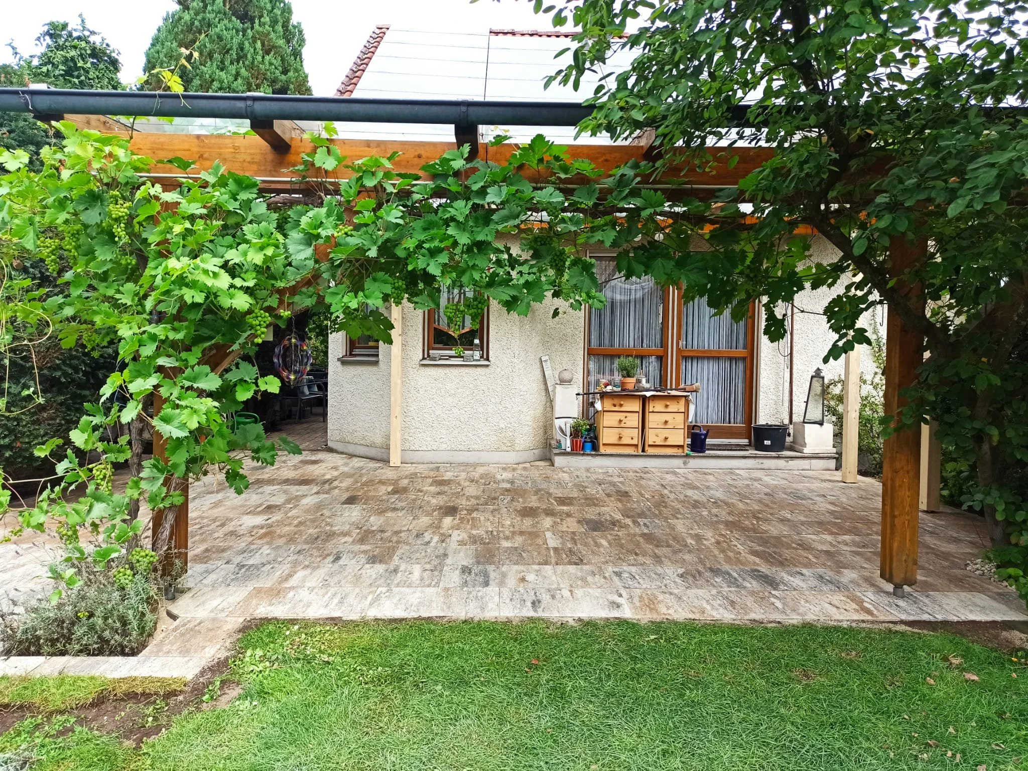 Garten mit Terrasse, Holzbalken mit weinreben, Wohnhaus mit großen Fenstern und Tür, grünem Rasen und Bäumen im Hintergrund.