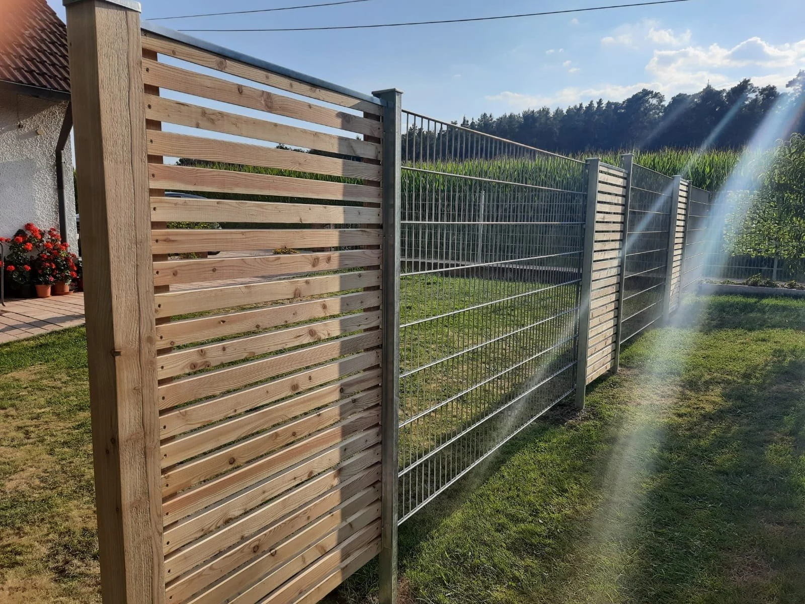 Holzzaun und Metallgitterzaun in einem Garten mit Gräsern und Bäumen im Hintergrund bei Sonnenschein.