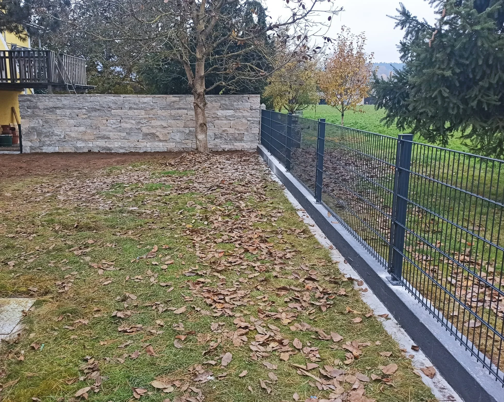 Ein Garten mit einem Baum, einem Steinhintergrund, einer Metallzaunebene und ein paar herab fallende Blätter auf dem Boden.