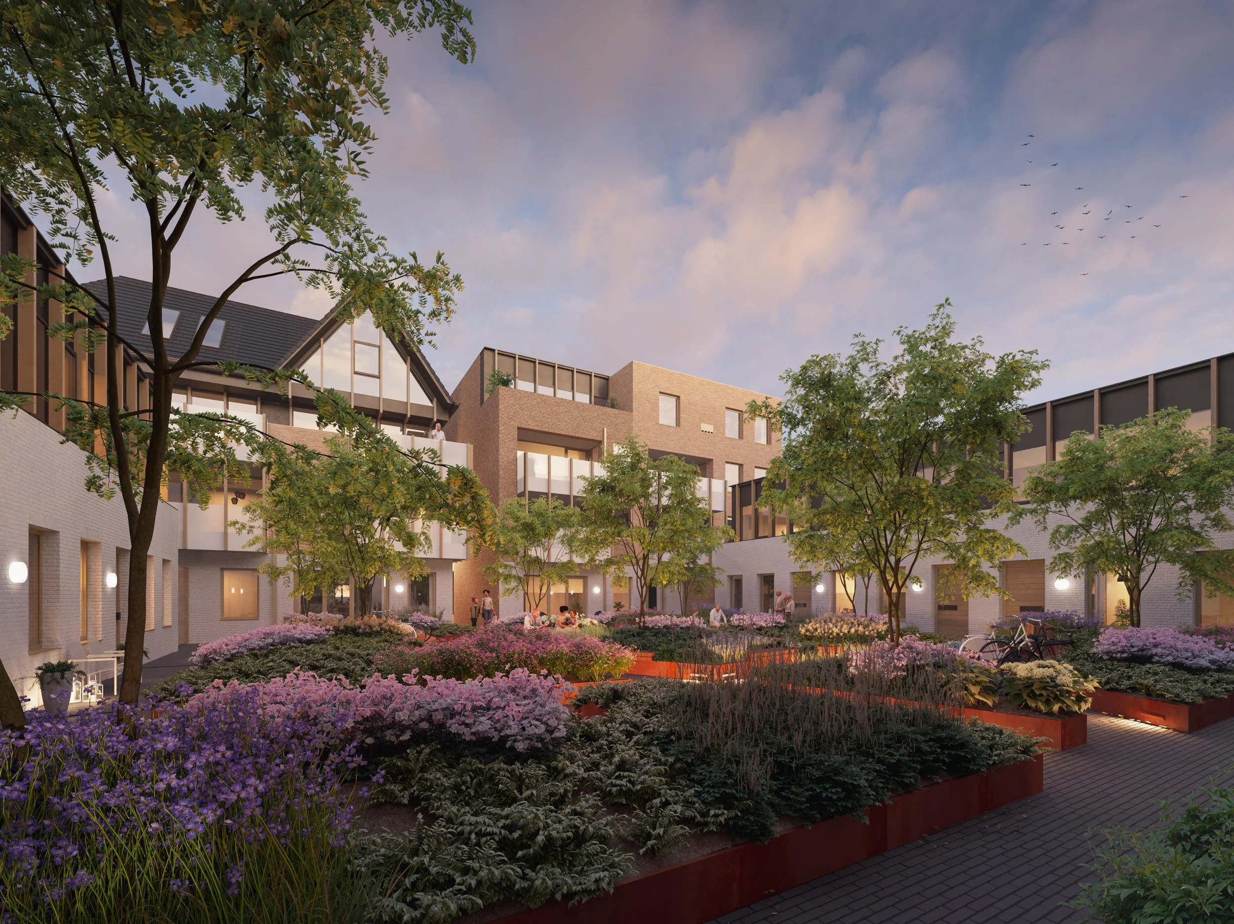 Fotorealistische feerimpressie van een besloten woonhof in de avondschemering, met weelderige paarse beplanting en moderne appartementen "De Vierhoek" te Haarlem door HER Architecten voor HBB.