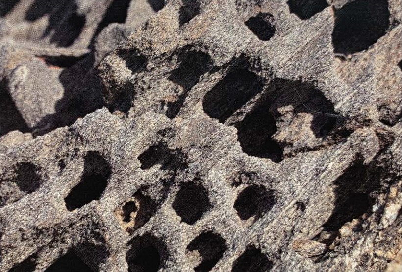 Detailed photograph of honeycomb-like erosion patterns, known as tafonis, on the natural rock formations of Cap de Creus.
