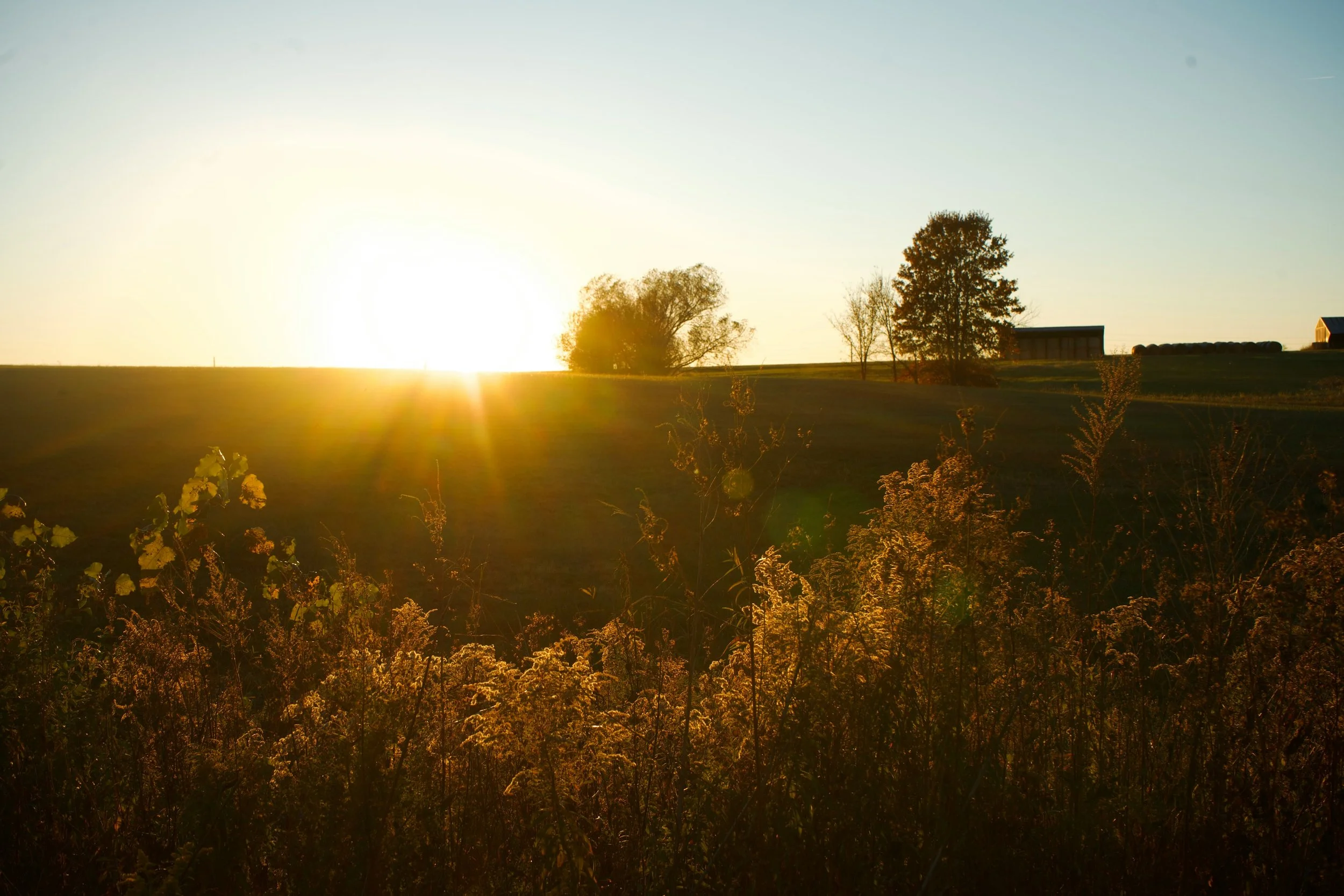 Sunset over a countryside landscape with trees and a barn in the distance.