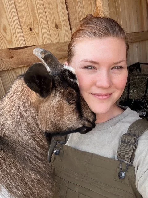 A rural landscape with a dirt road, a weathered shed, a large tree stump, green fields, and a hillside covered in trees.
