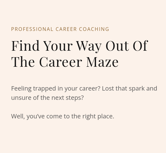 Website home page title reading, Find Your Way Out of The Career Maze.