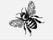 The Bee Literary Magazine