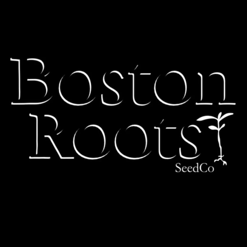 Dulce De Uva x Black Maple