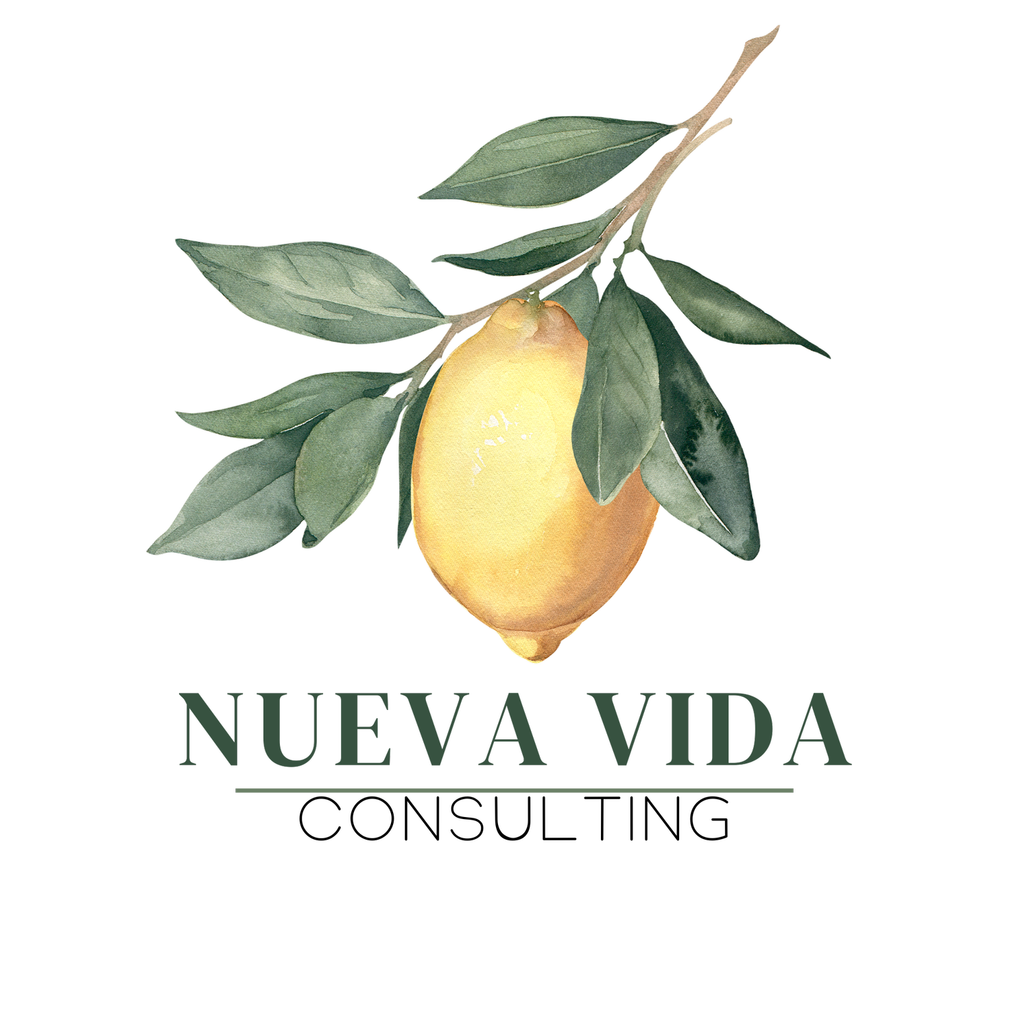 nuevavida-consulting