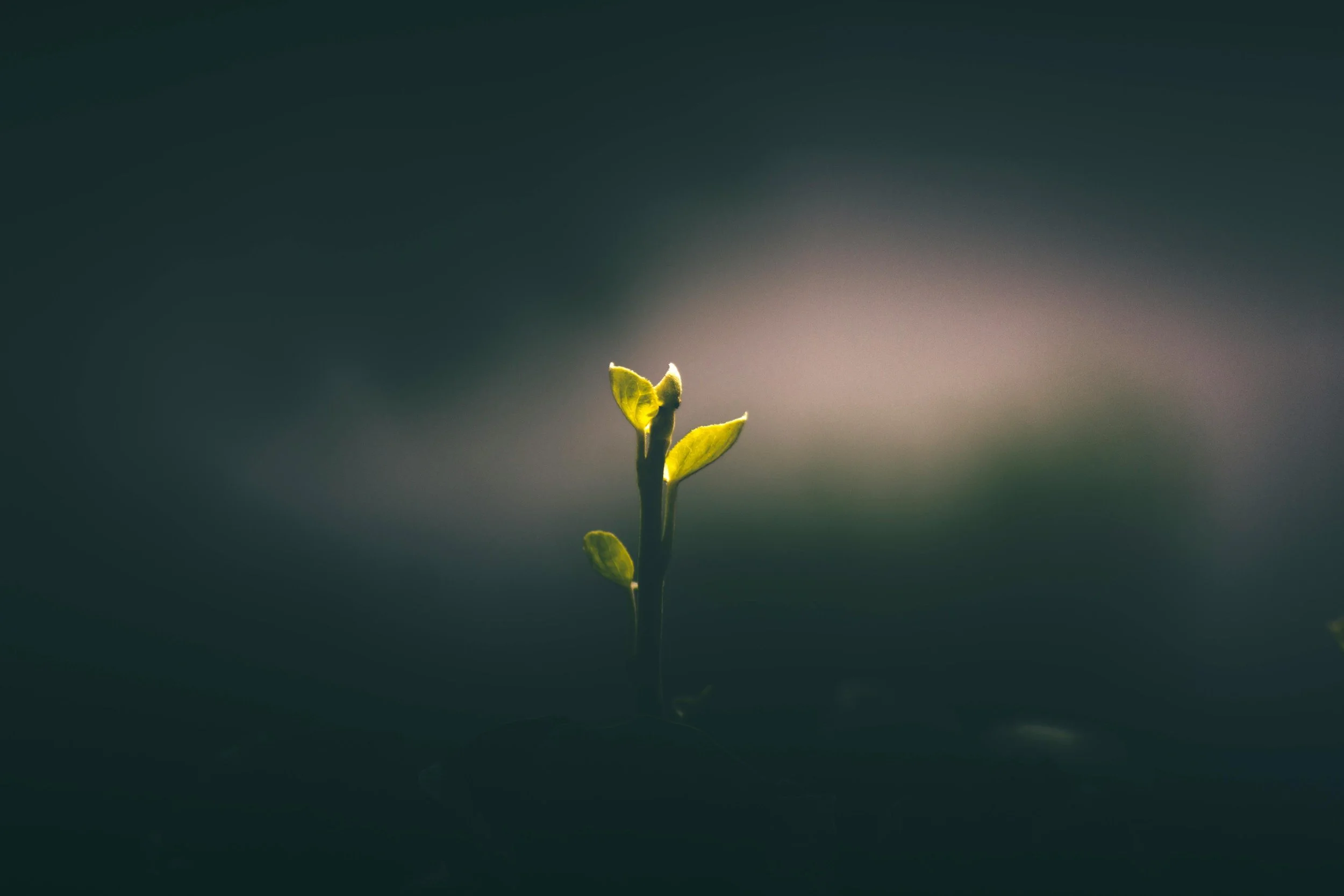 Hope with me.