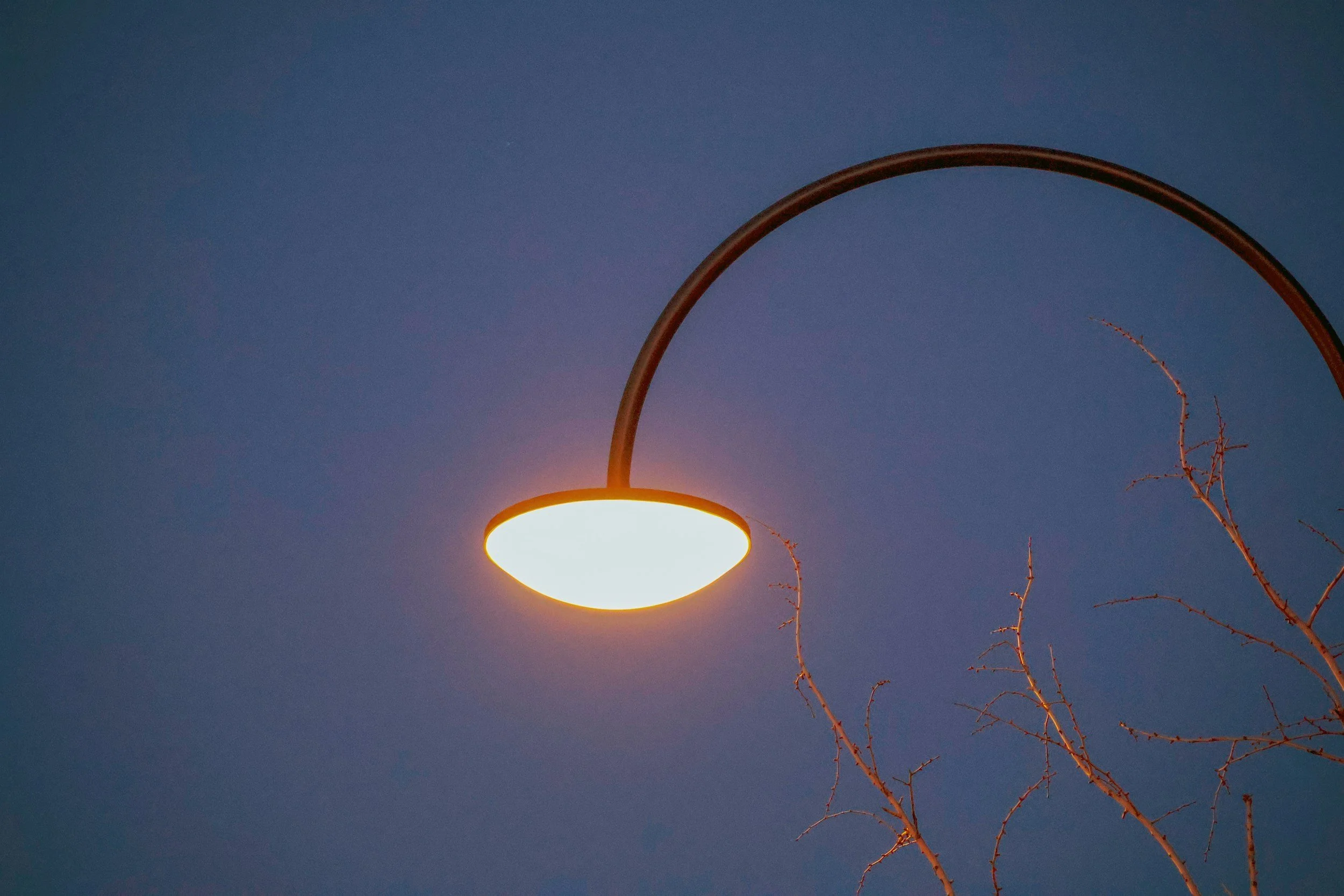 Streetlamp with a curved pole illuminated against a dark sky, with bare tree branches nearby.