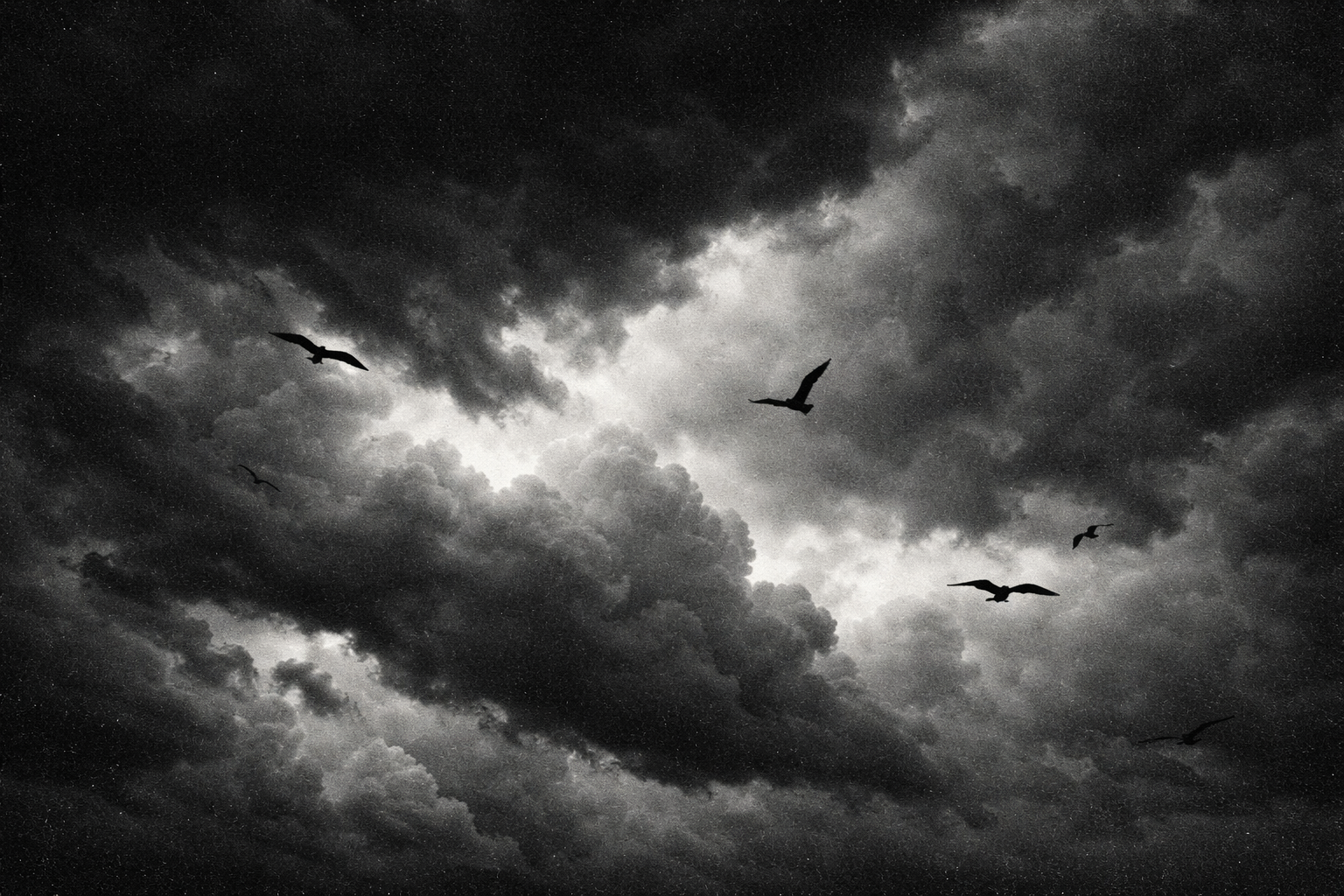 Black and white photo of dark, stormy clouds with seven birds flying.