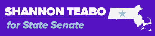 Shannon Teabo for State Senate