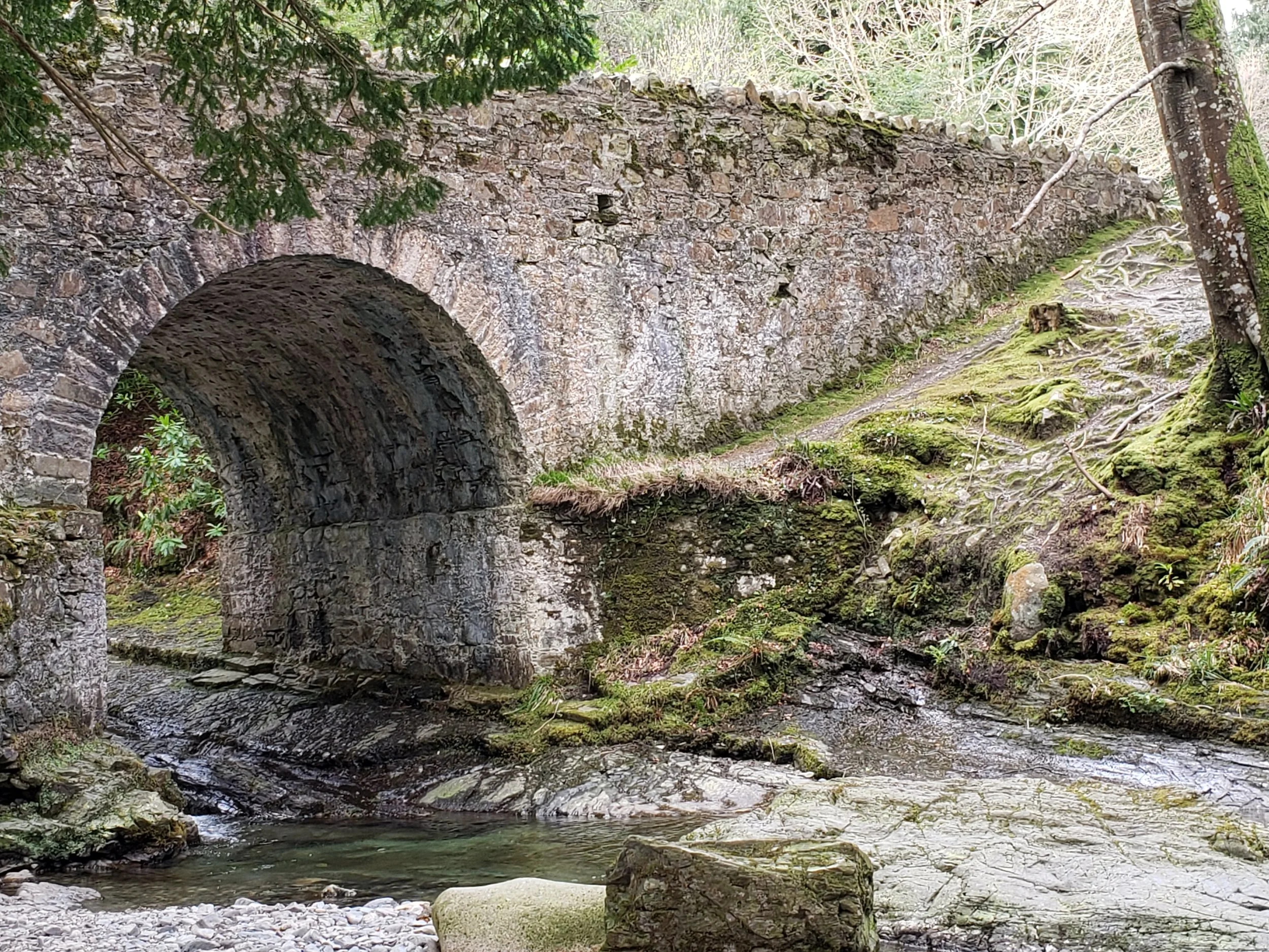 An old stone bridge over a narrow creek in a lush, green forest.