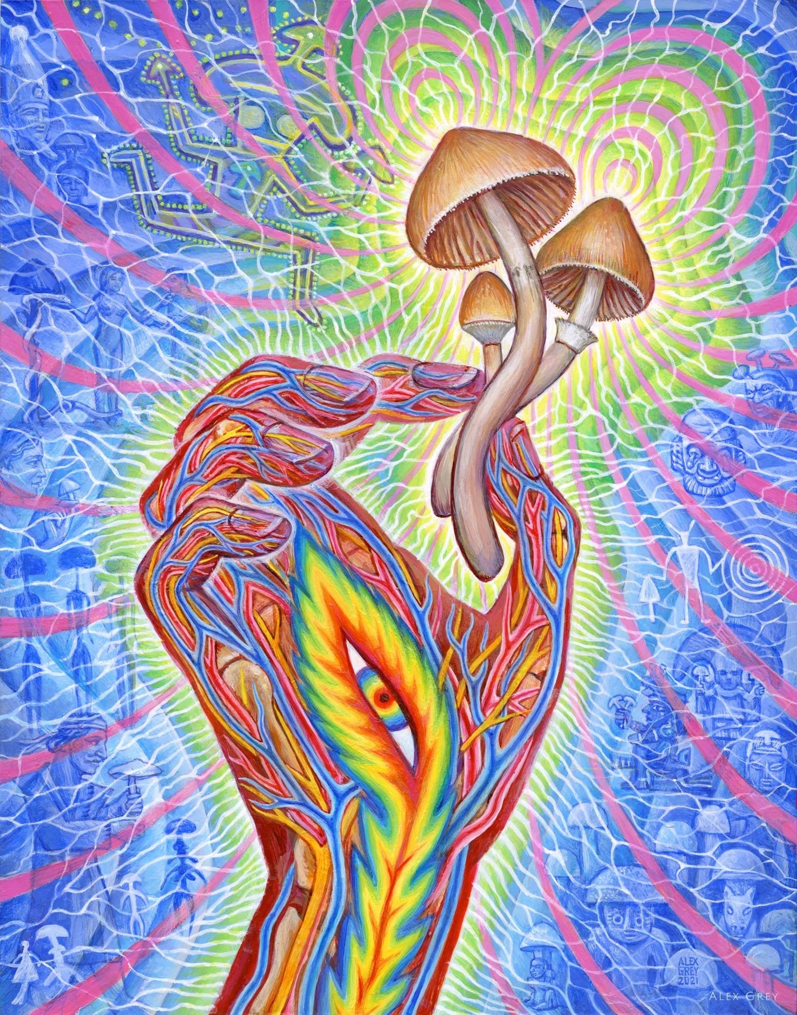 Psychedelic Integration - initial consult