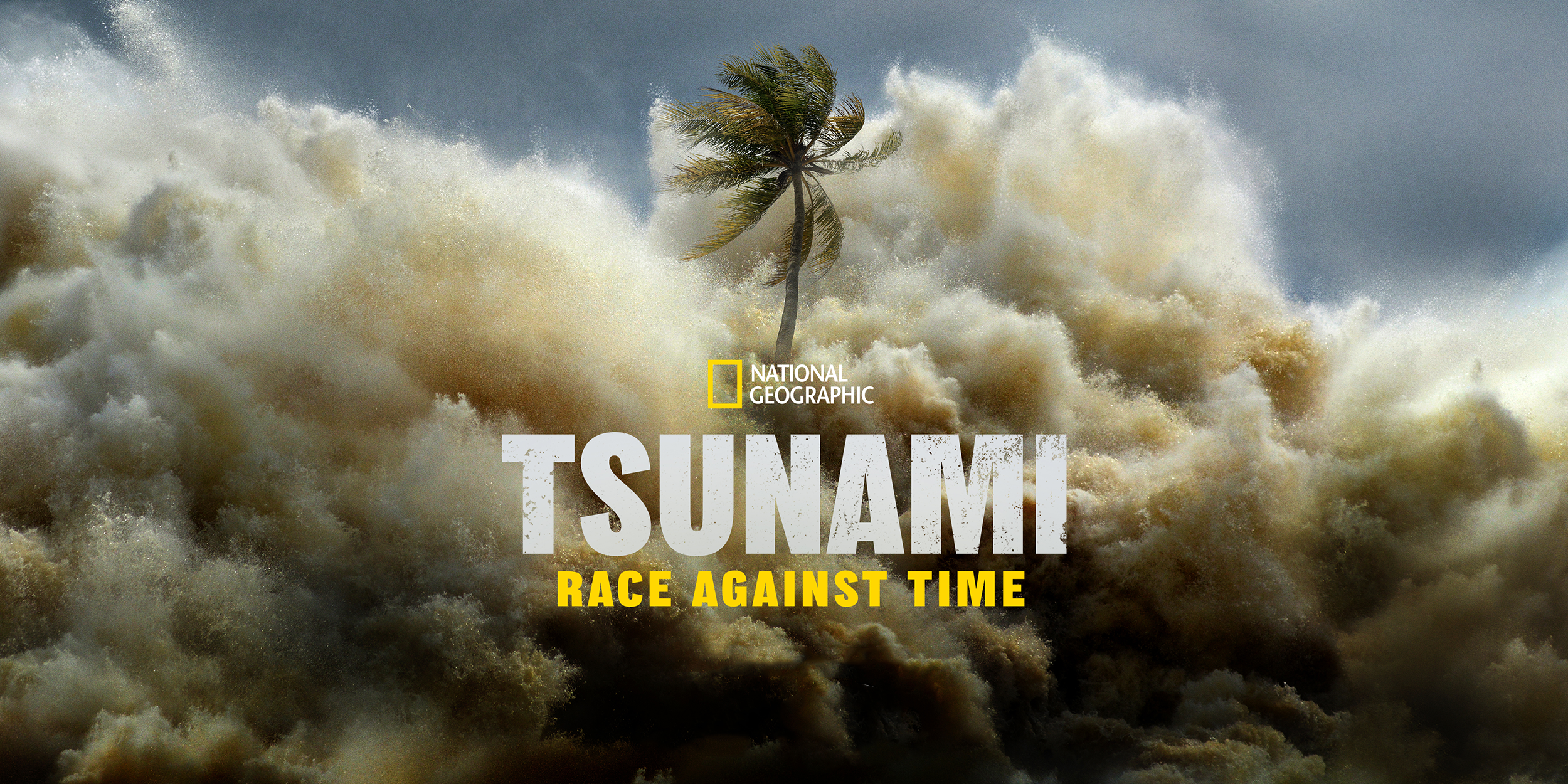 Creating Tsunami: A Race Against Time