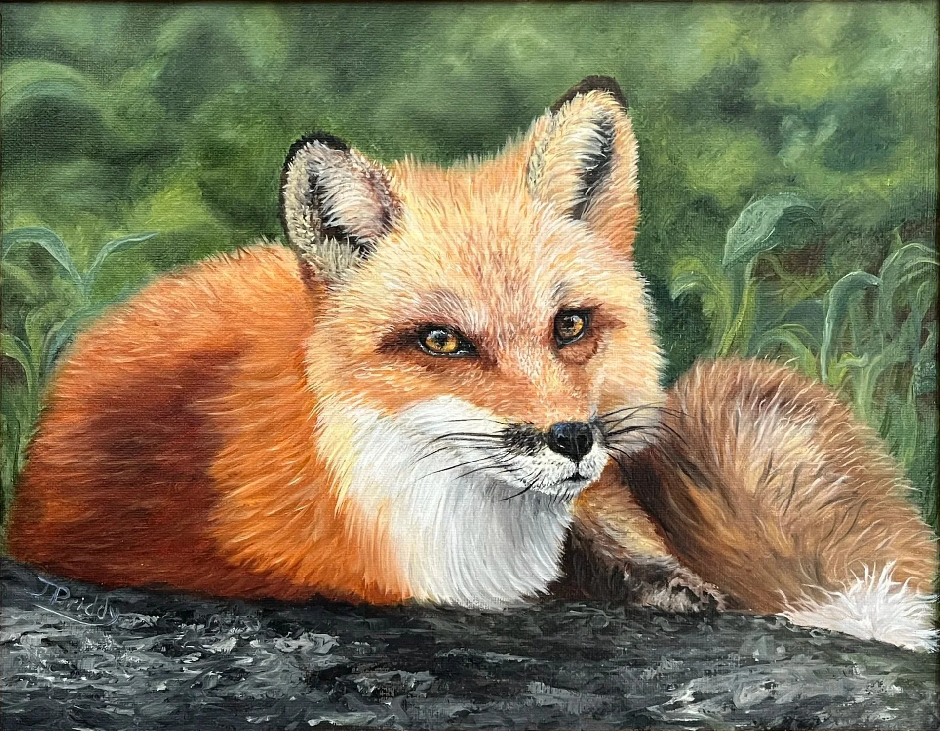 Autumn Red Fox - 11x14 Oil  - $375